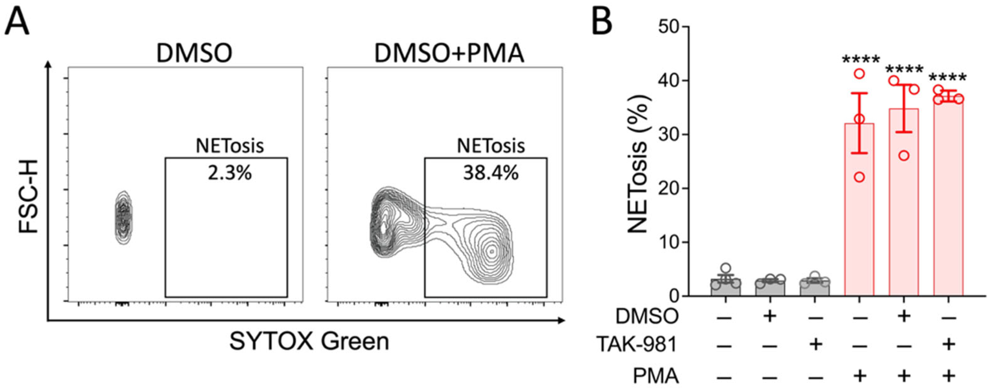 Pharmaceuticals 18 01070 g003 Pharmaceuticals 18 01070 g003