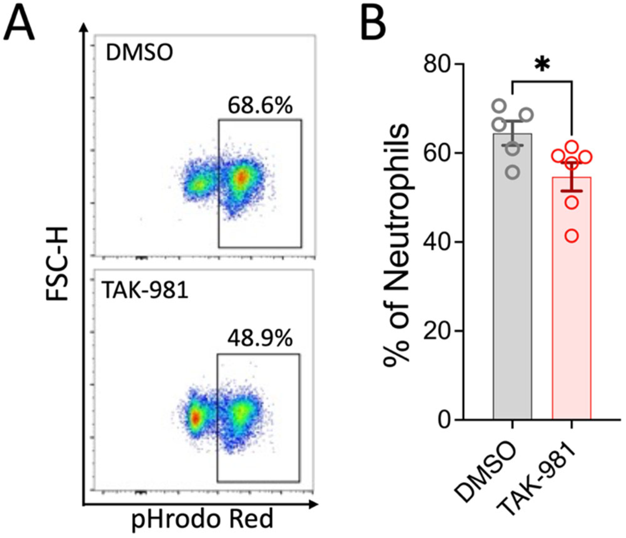 Pharmaceuticals 18 01070 g004 Pharmaceuticals 18 01070 g004