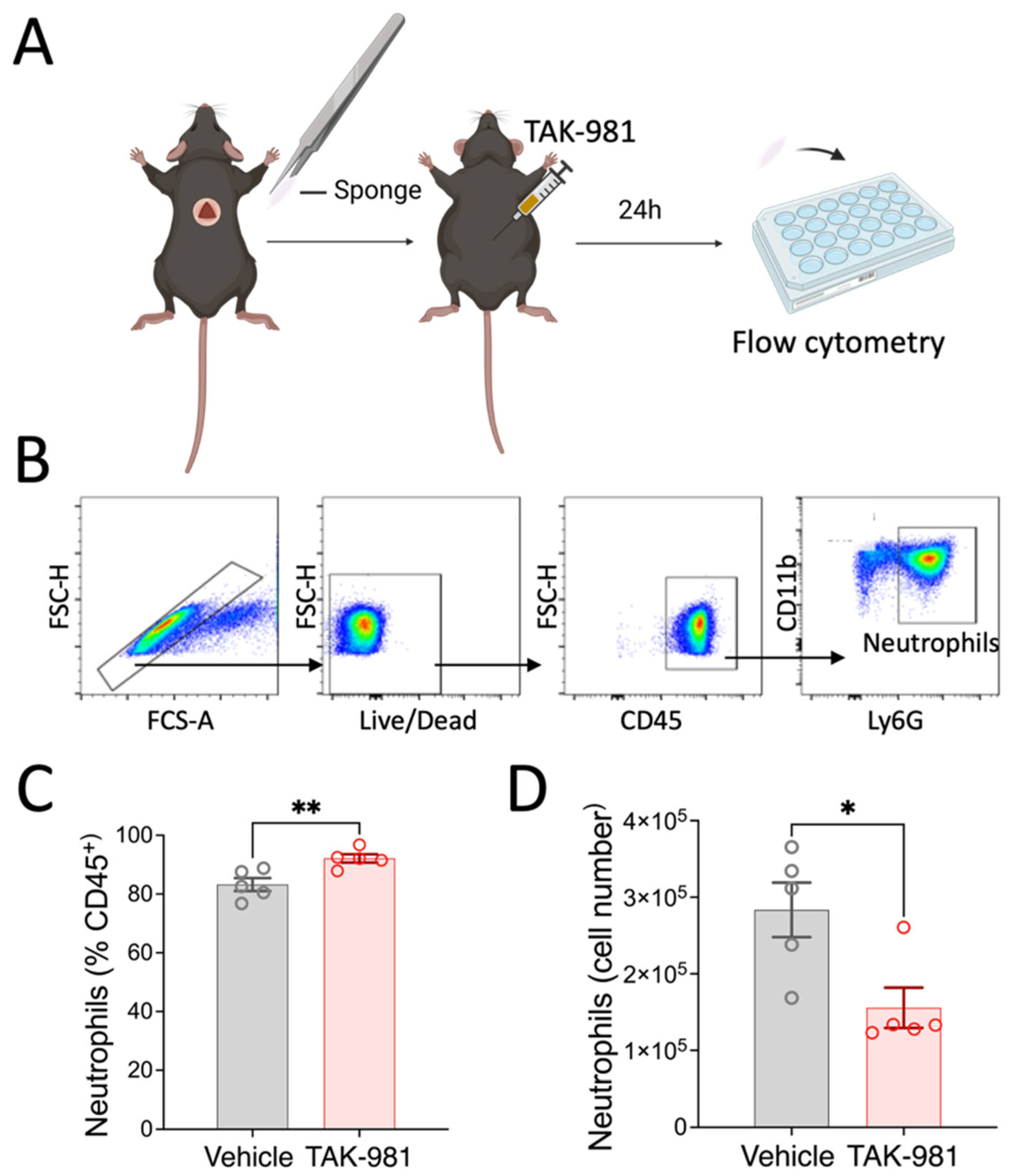 Pharmaceuticals 18 01070 g006 Pharmaceuticals 18 01070 g006