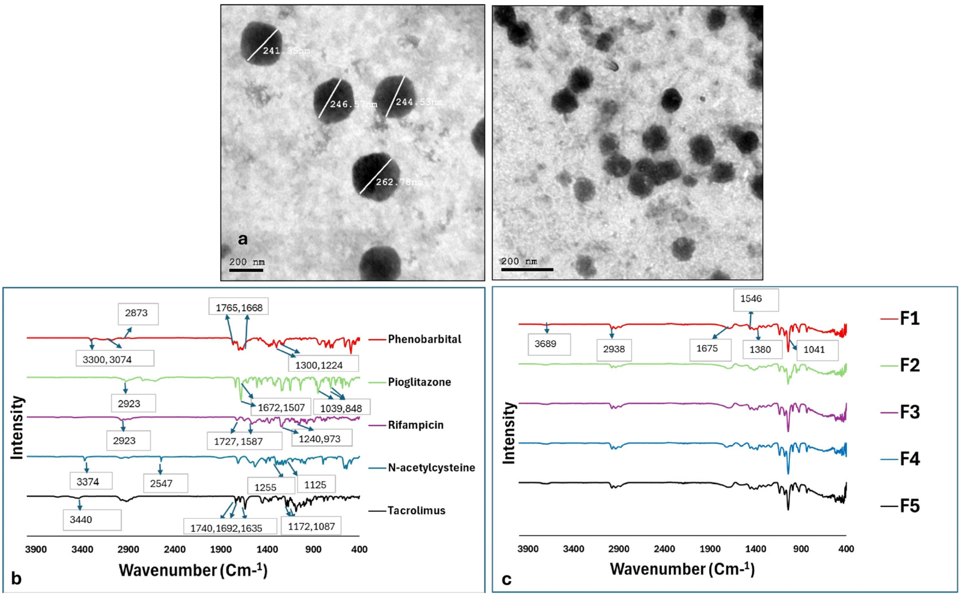Pharmaceuticals 18 01071 g002