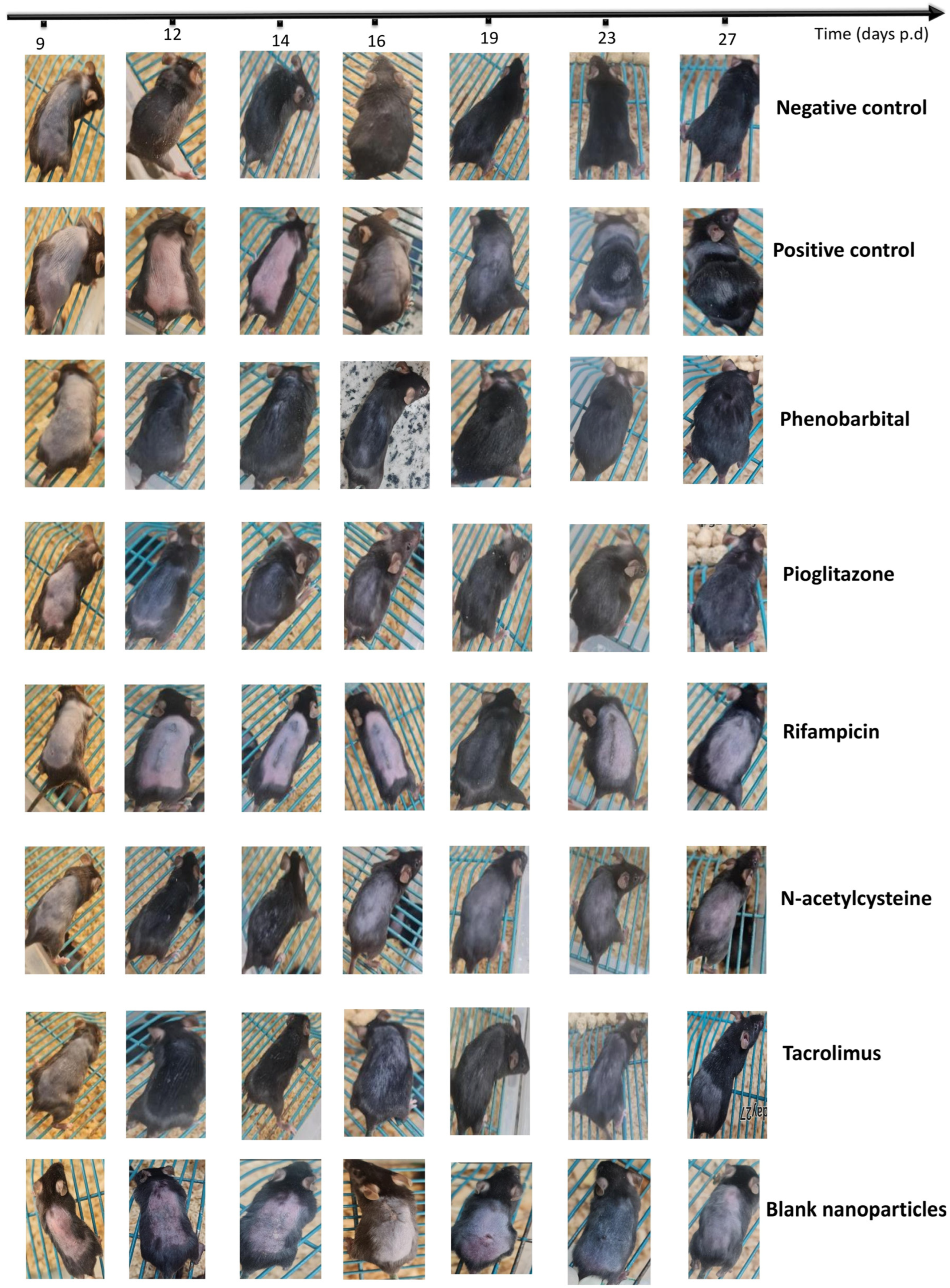 Pharmaceuticals 18 01071 g003