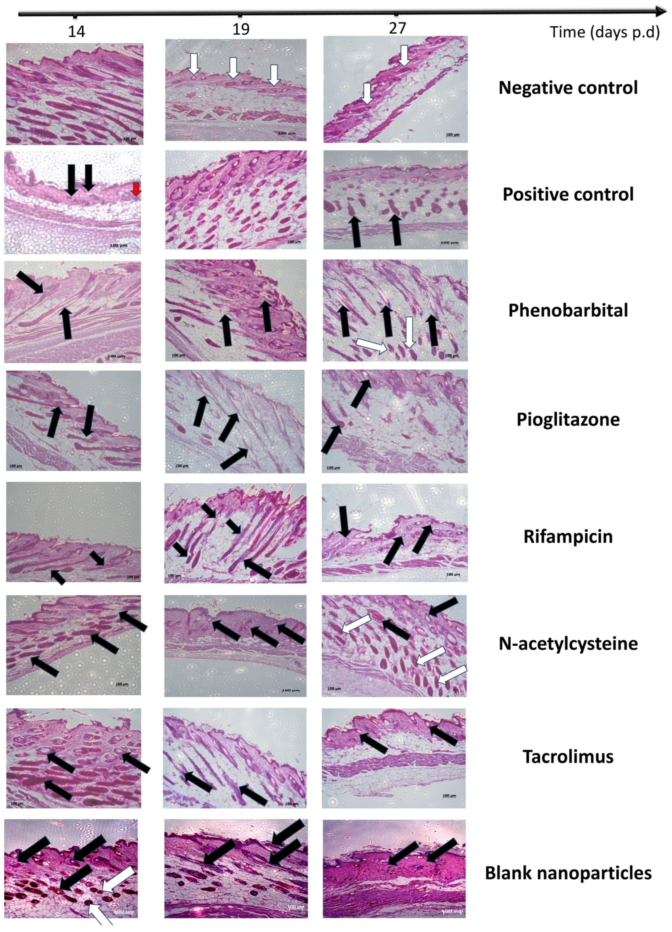 Pharmaceuticals 18 01071 g006
