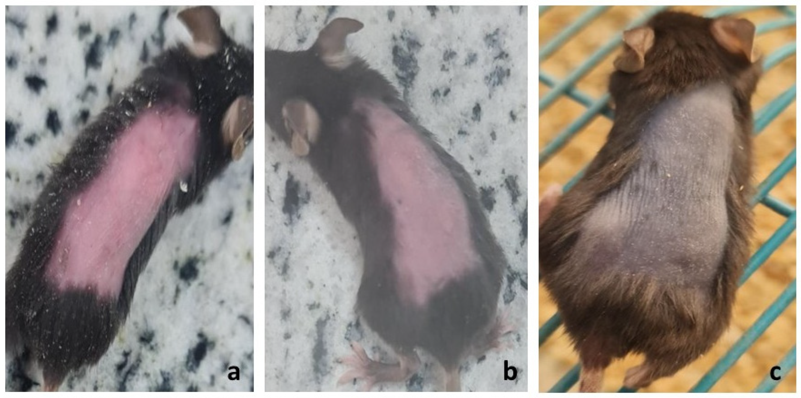 Pharmaceuticals 18 01071 g0a1