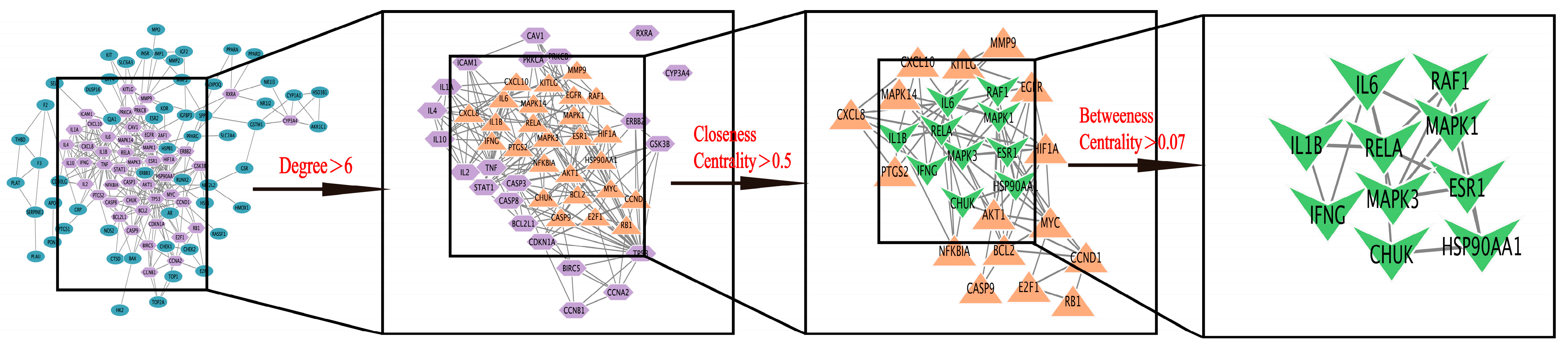 Pharmaceuticals 18 01072 g004