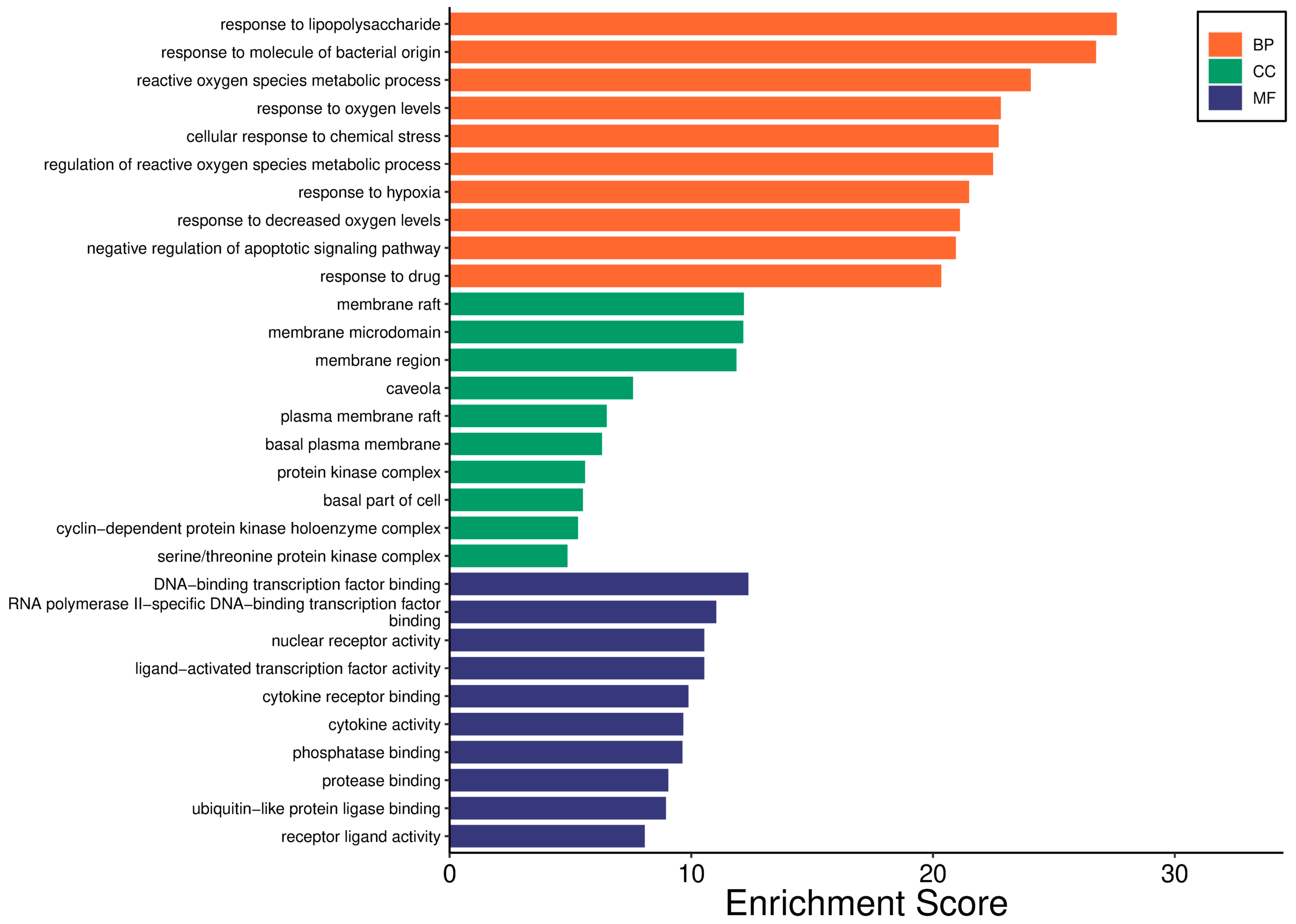 Pharmaceuticals 18 01072 g005