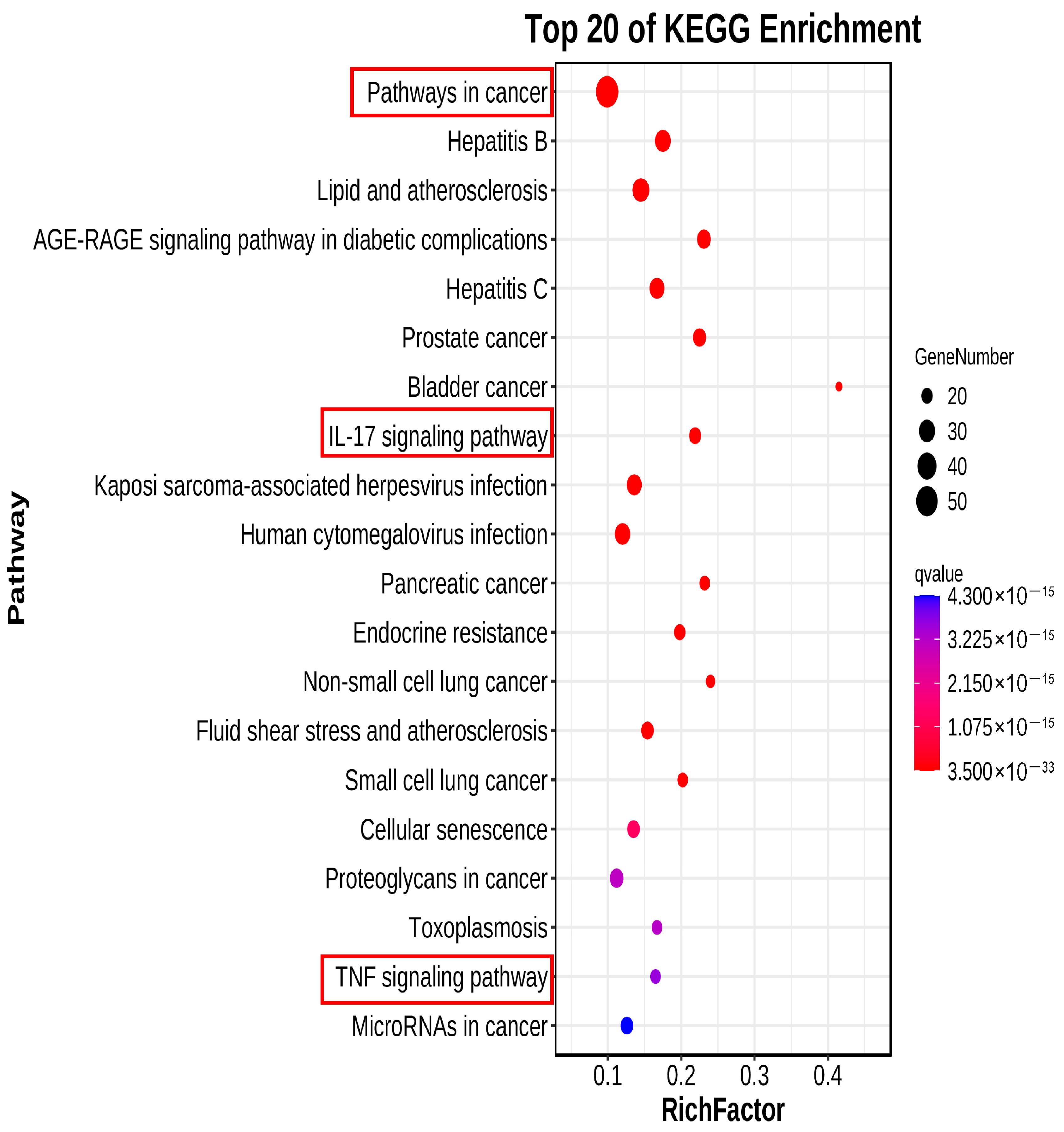 Pharmaceuticals 18 01072 g006