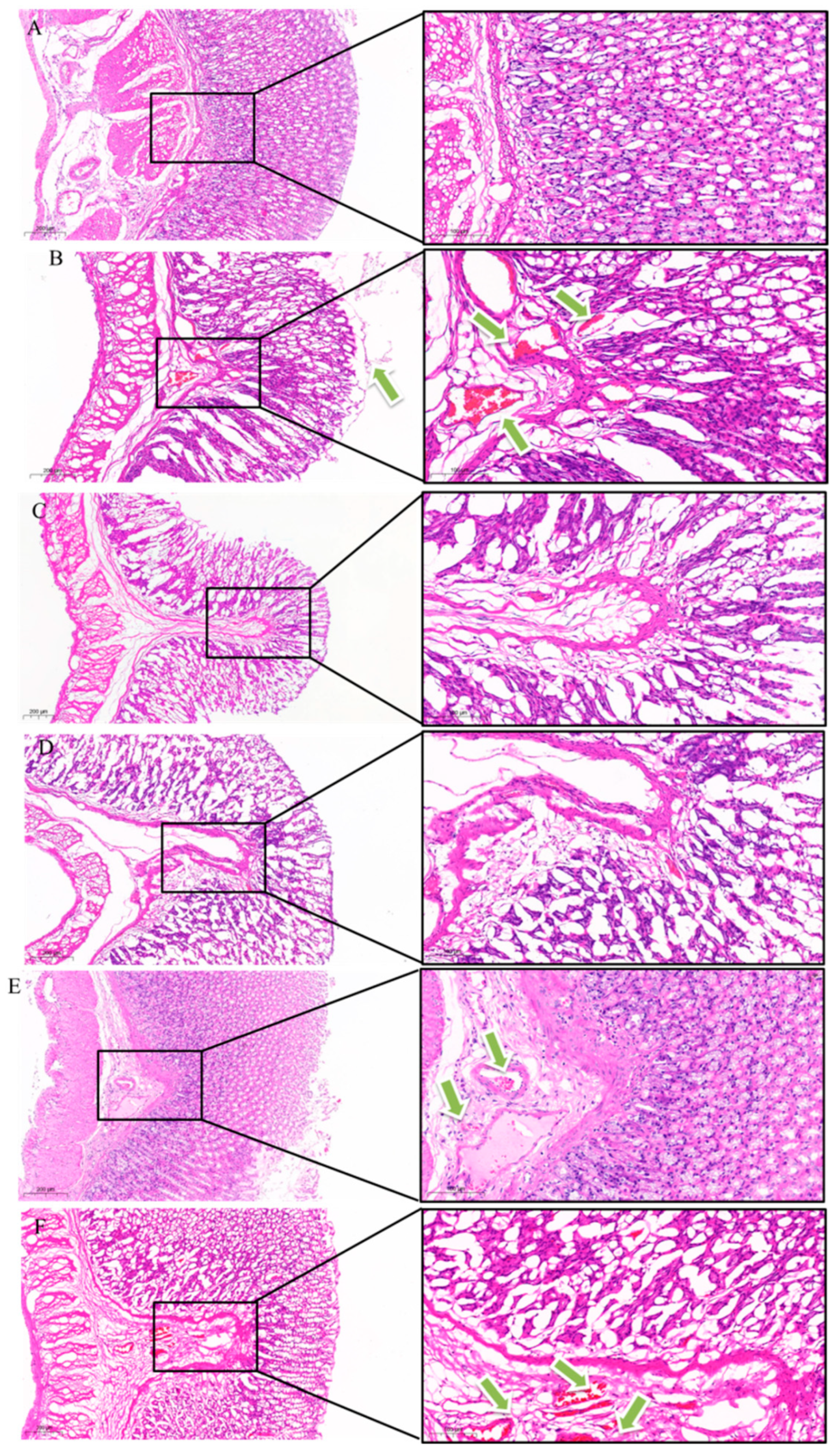Pharmaceuticals 18 01072 g010