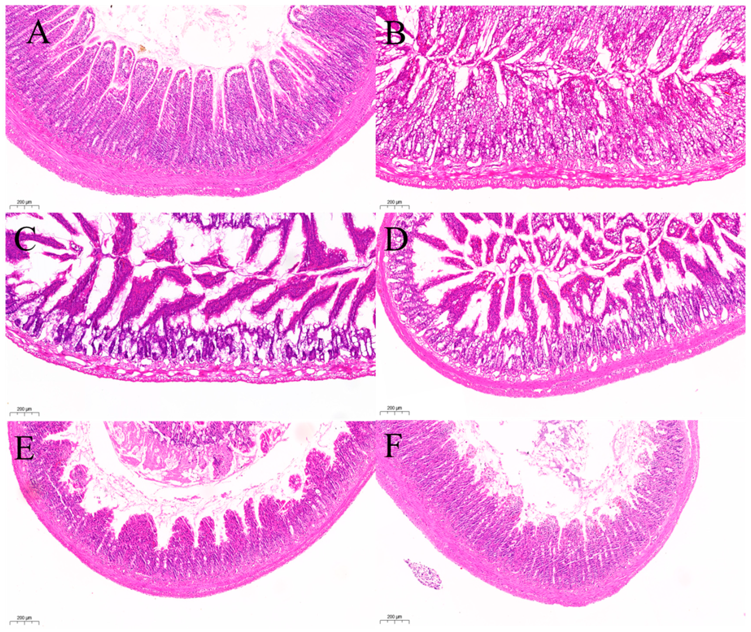 Pharmaceuticals 18 01072 g011