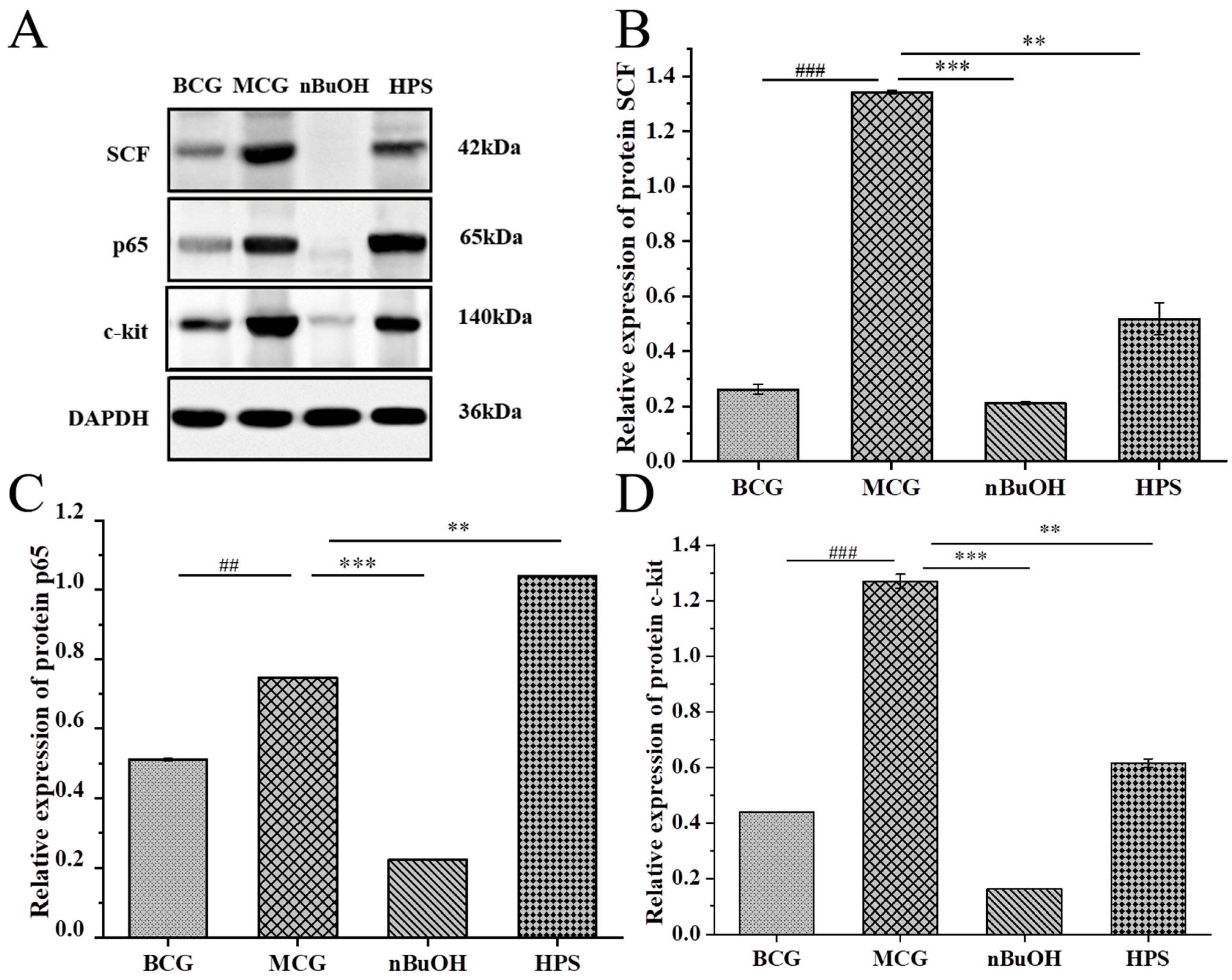 Pharmaceuticals 18 01072 g013