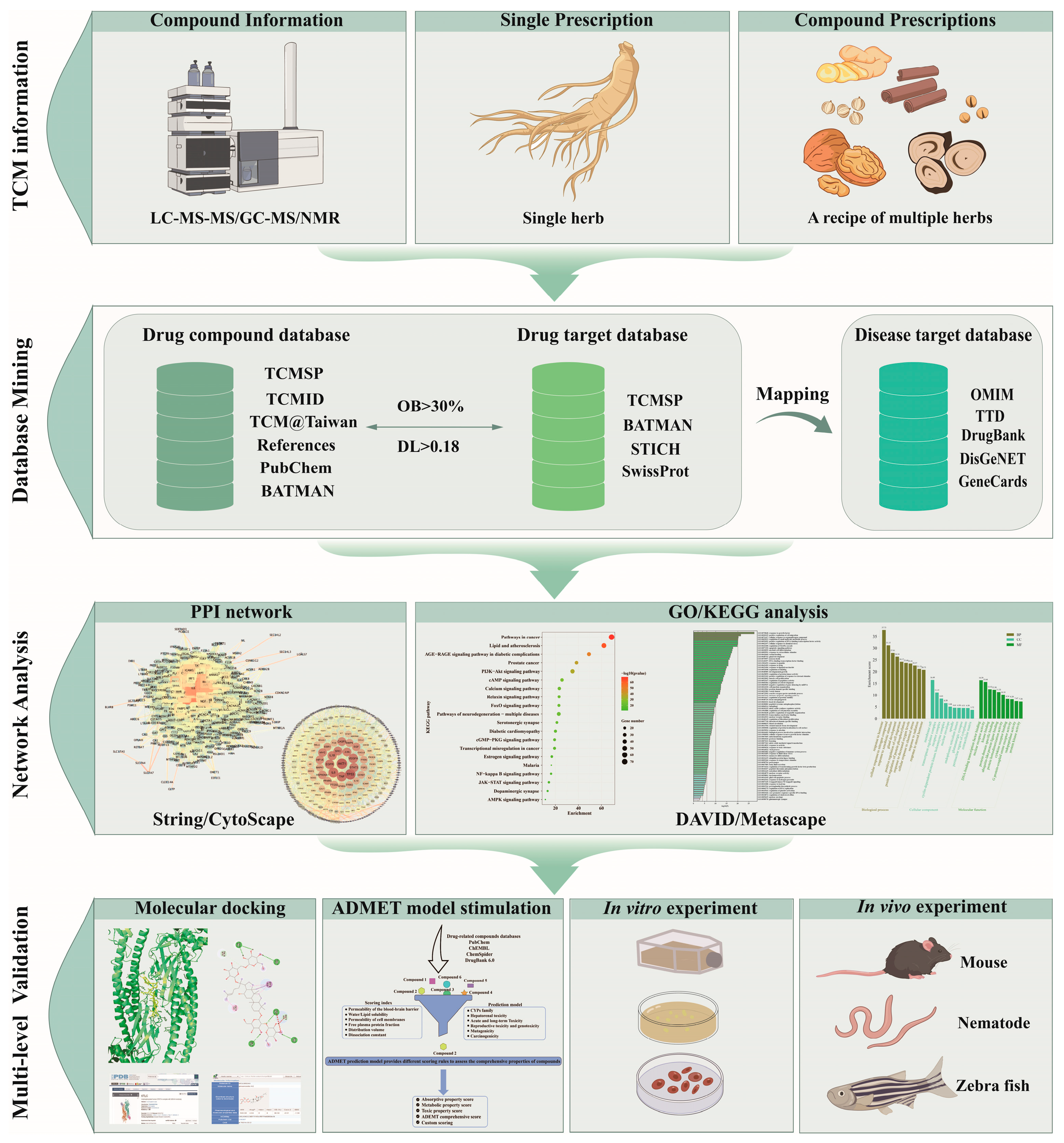 Pharmaceuticals 18 01074 g002