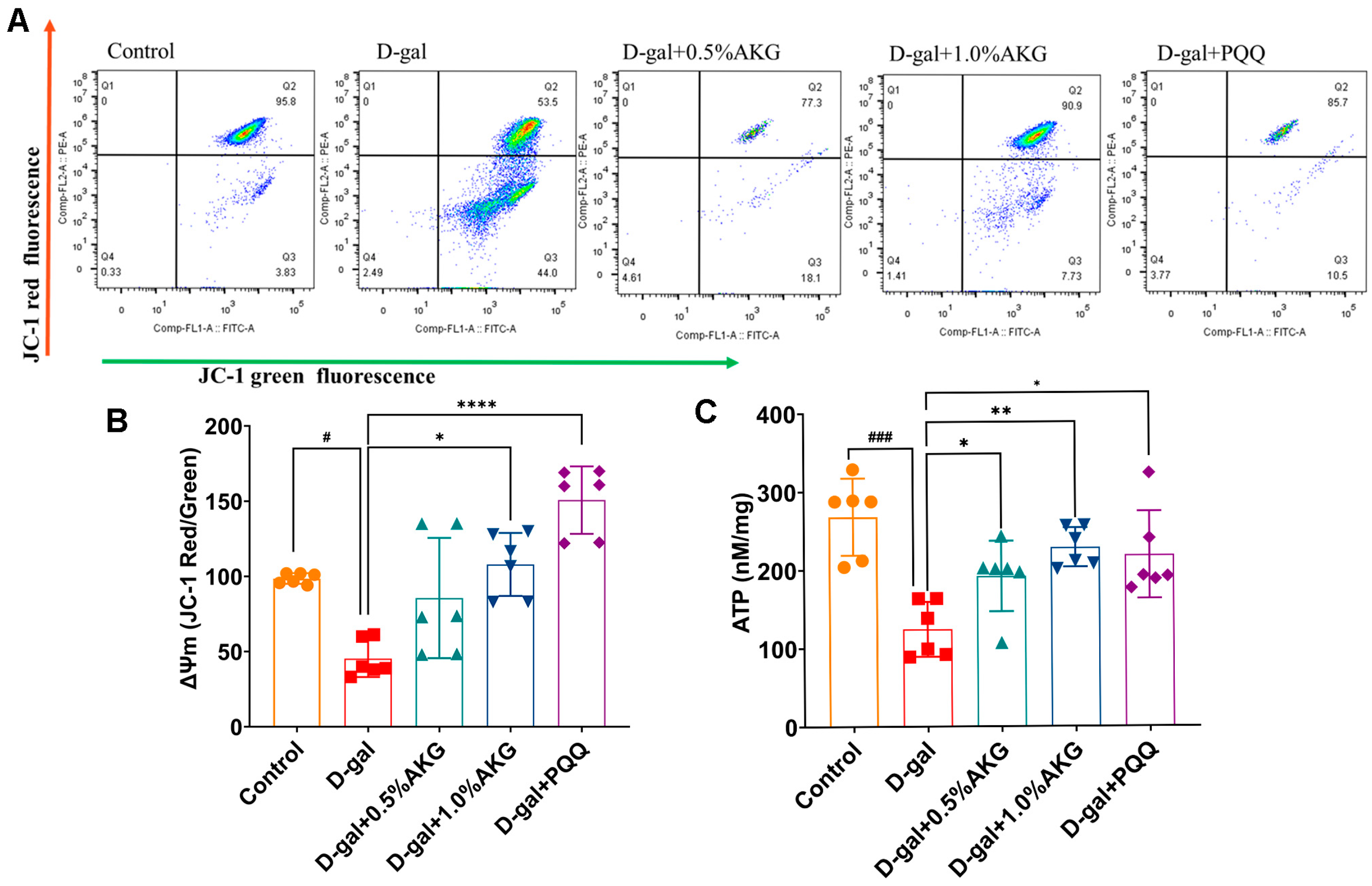 Pharmaceuticals 18 01080 g003