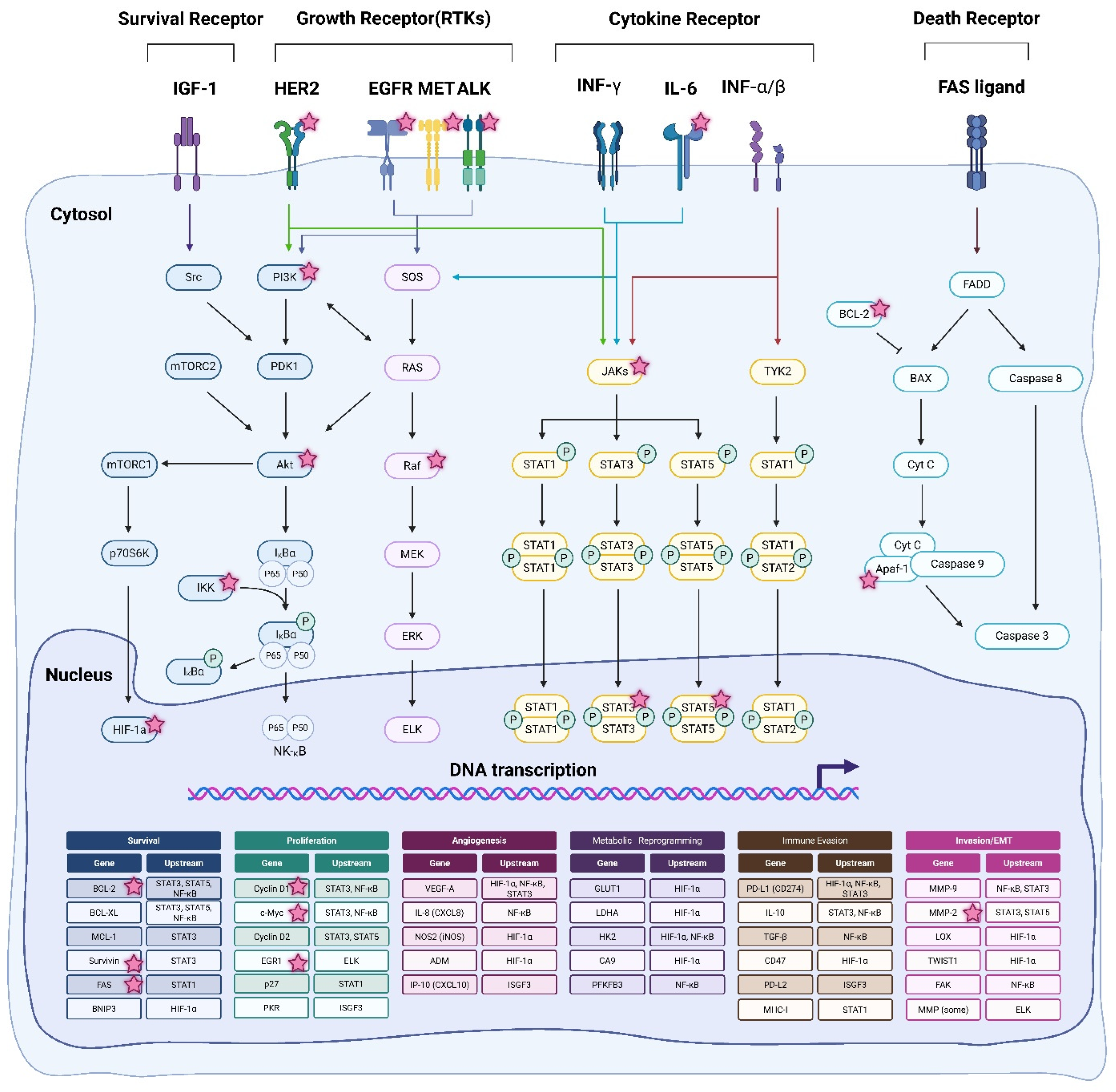 Pharmaceuticals 18 01083 g002