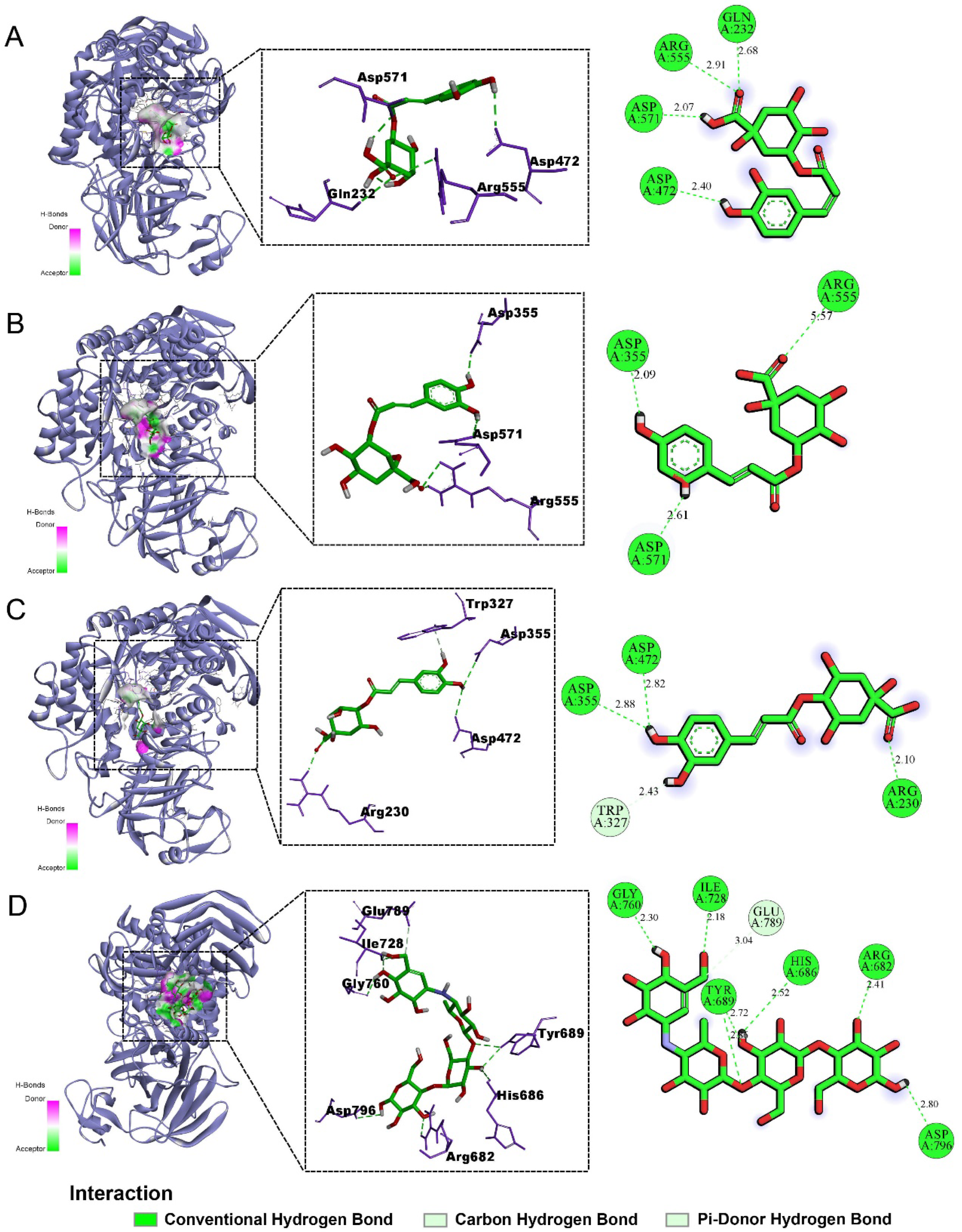 Pharmaceuticals 18 01087 g005