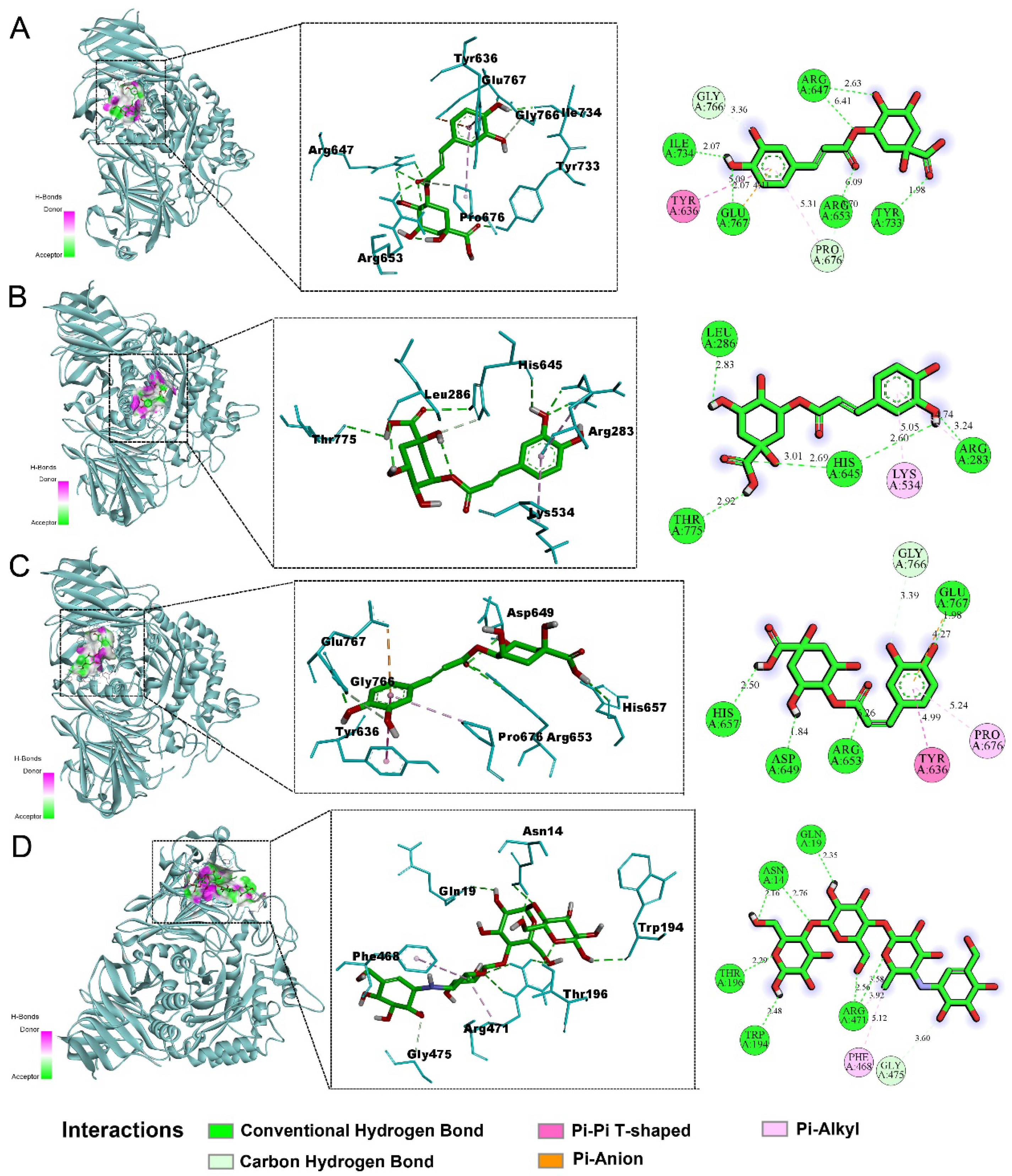 Pharmaceuticals 18 01087 g006