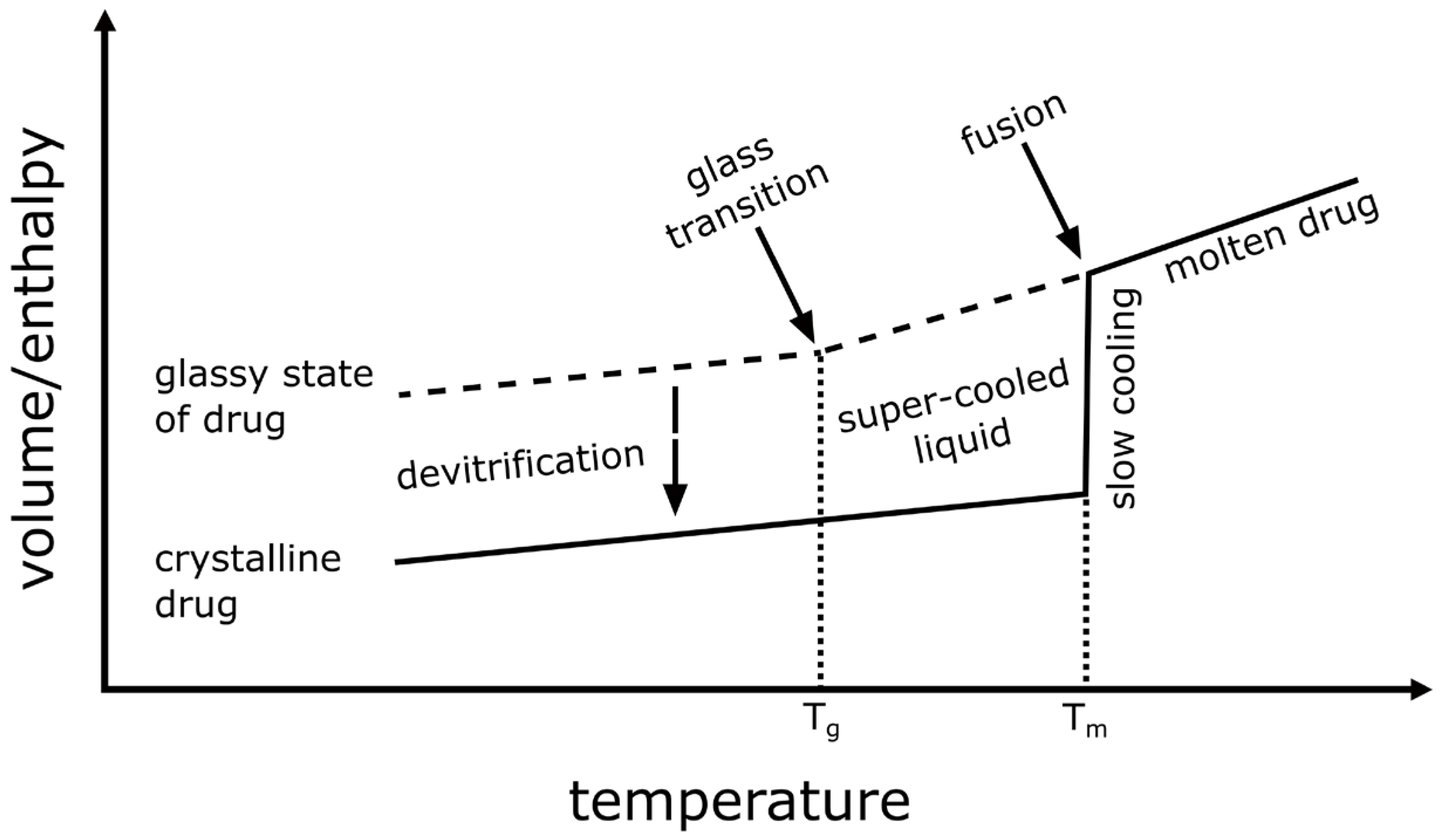 Pharmaceuticals 18 01089 g003