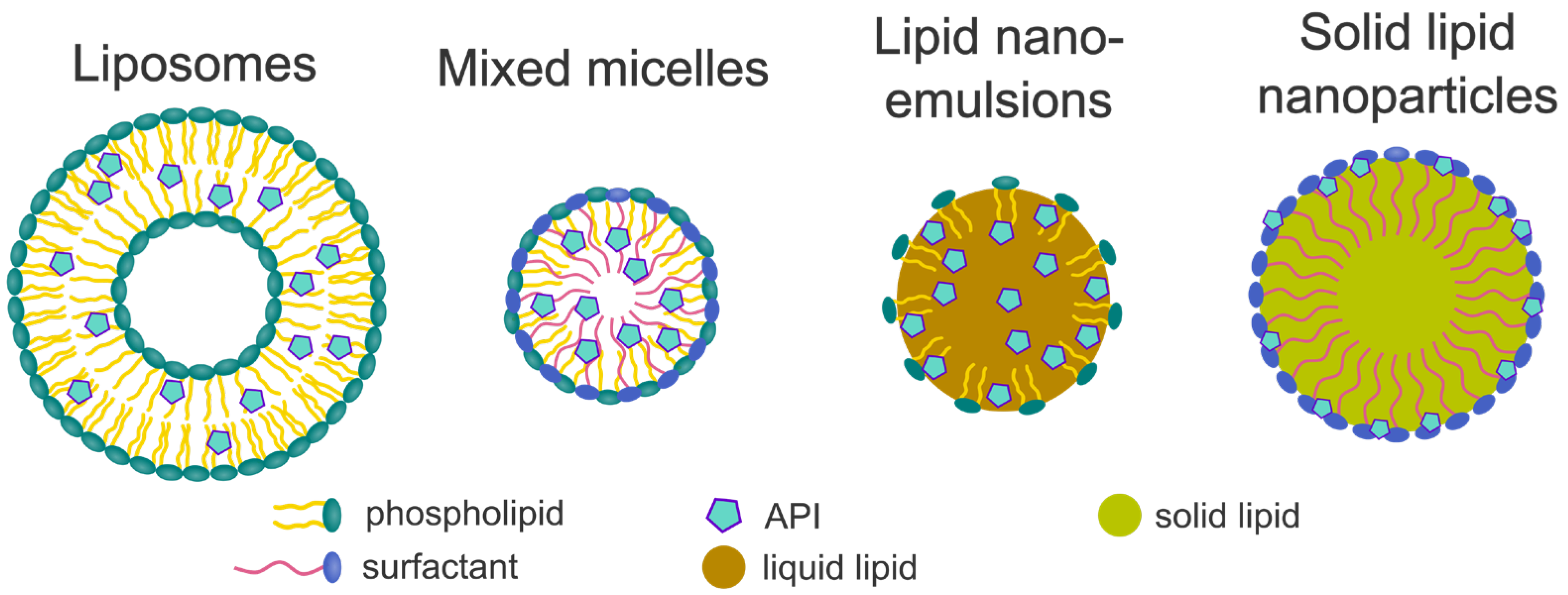 Pharmaceuticals 18 01089 g007