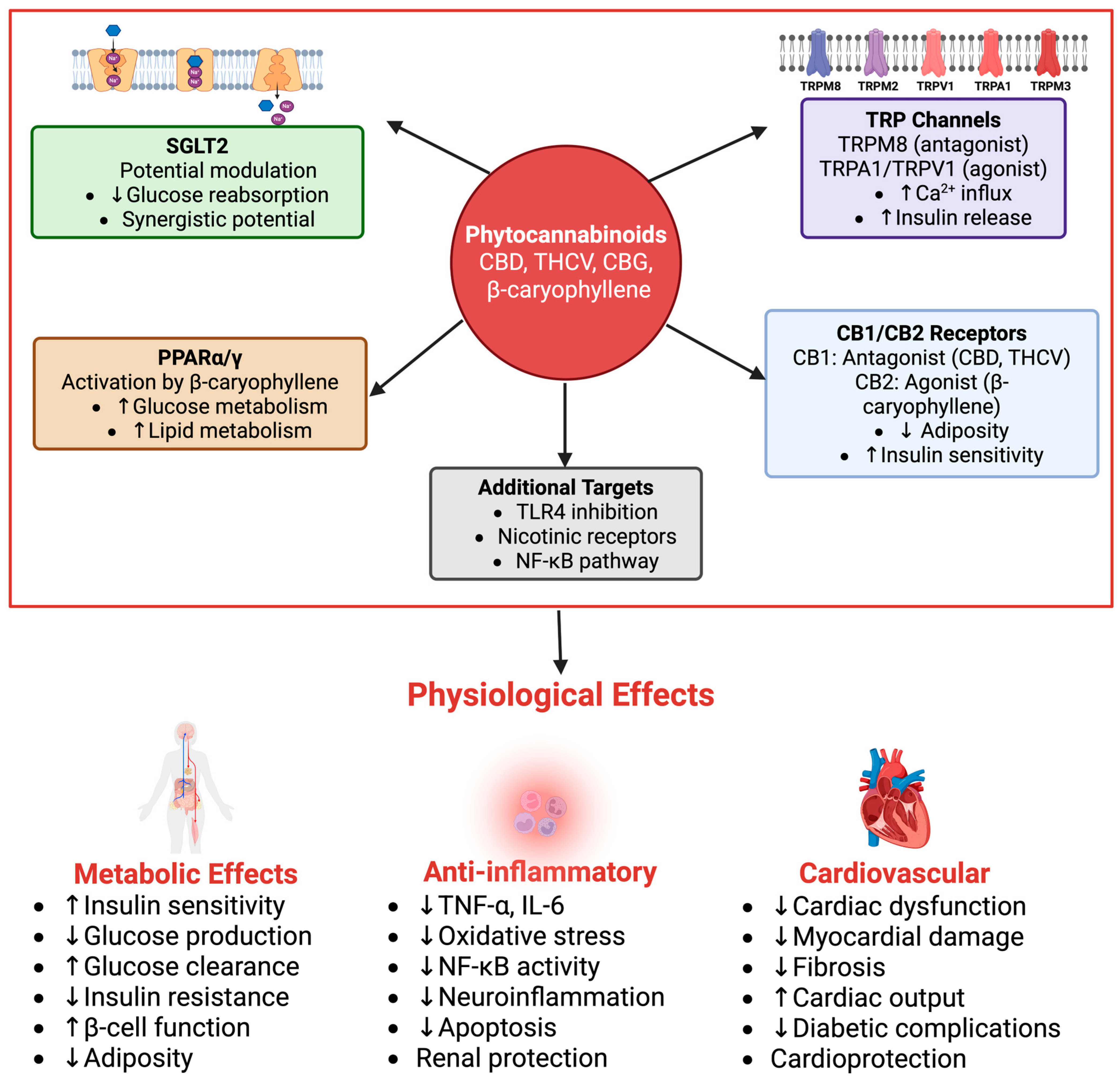 Pharmaceuticals 18 01101 g004