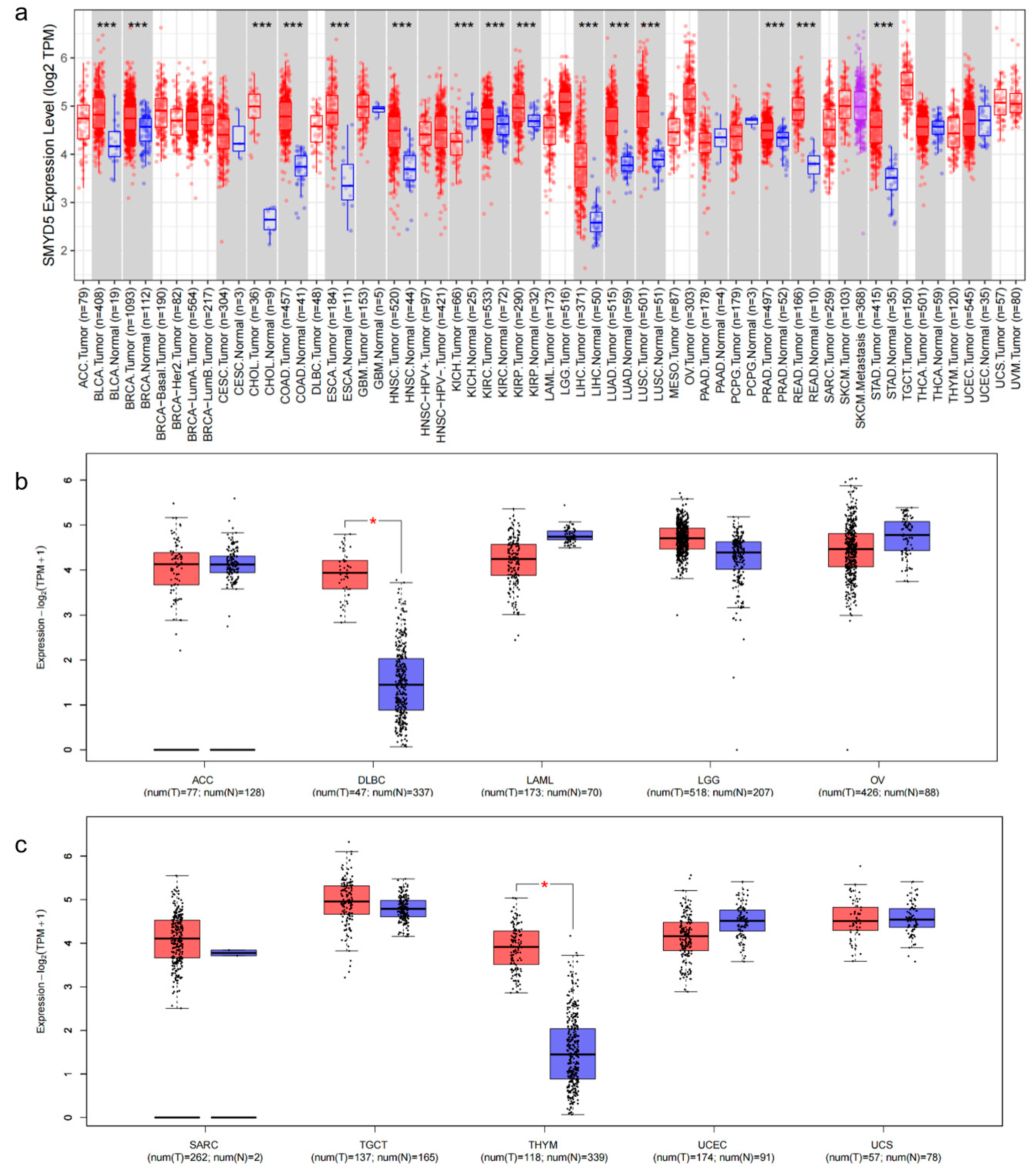 Pharmaceuticals 18 01105 g001