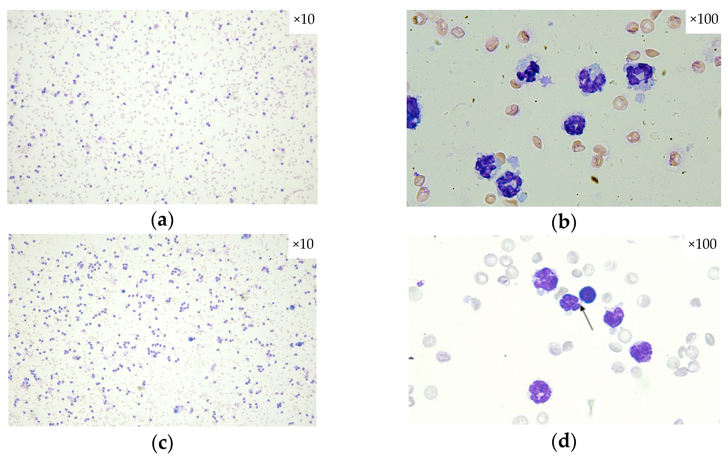 Pharmaceuticals 18 01108 g003a
