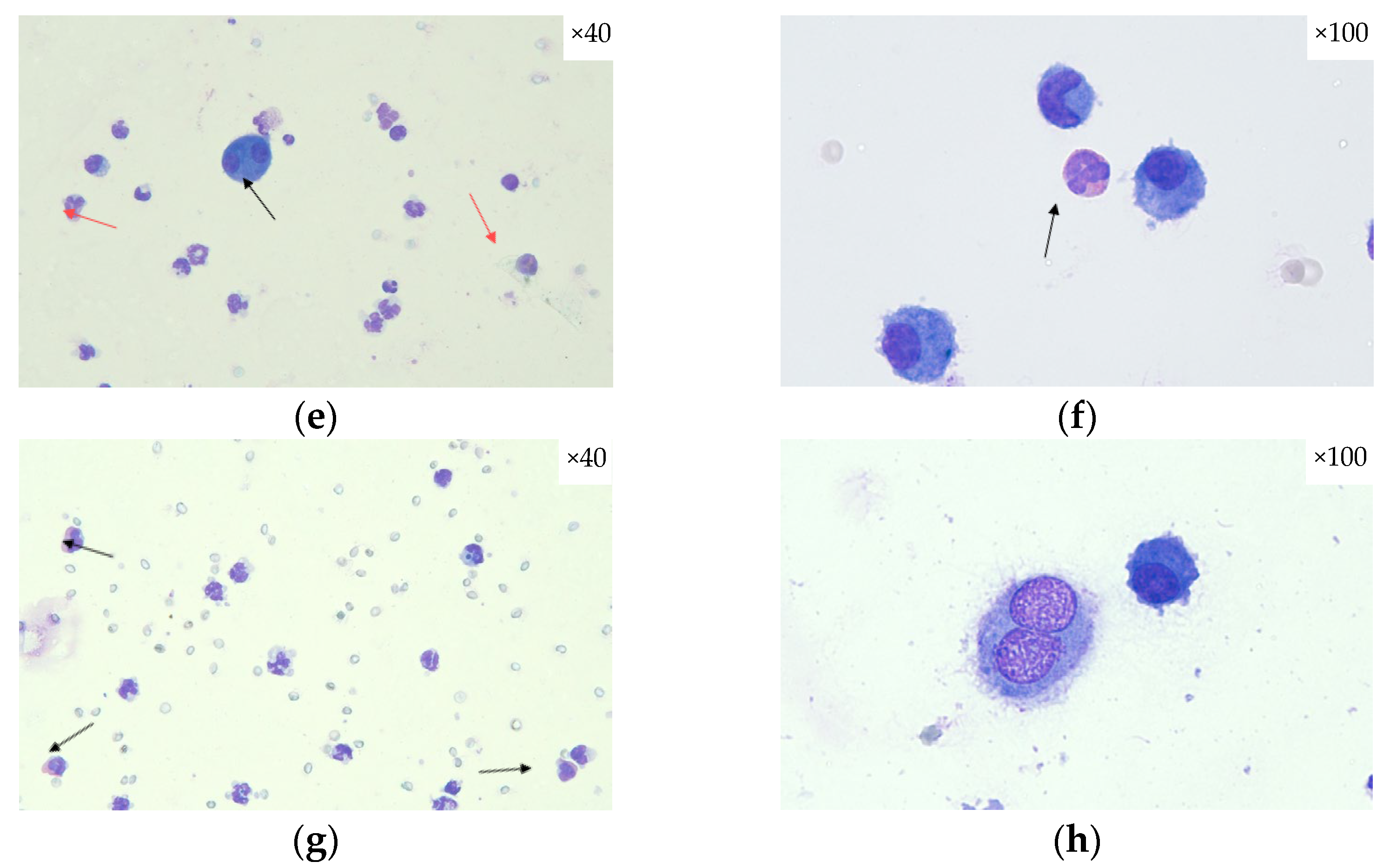 Pharmaceuticals 18 01108 g003b