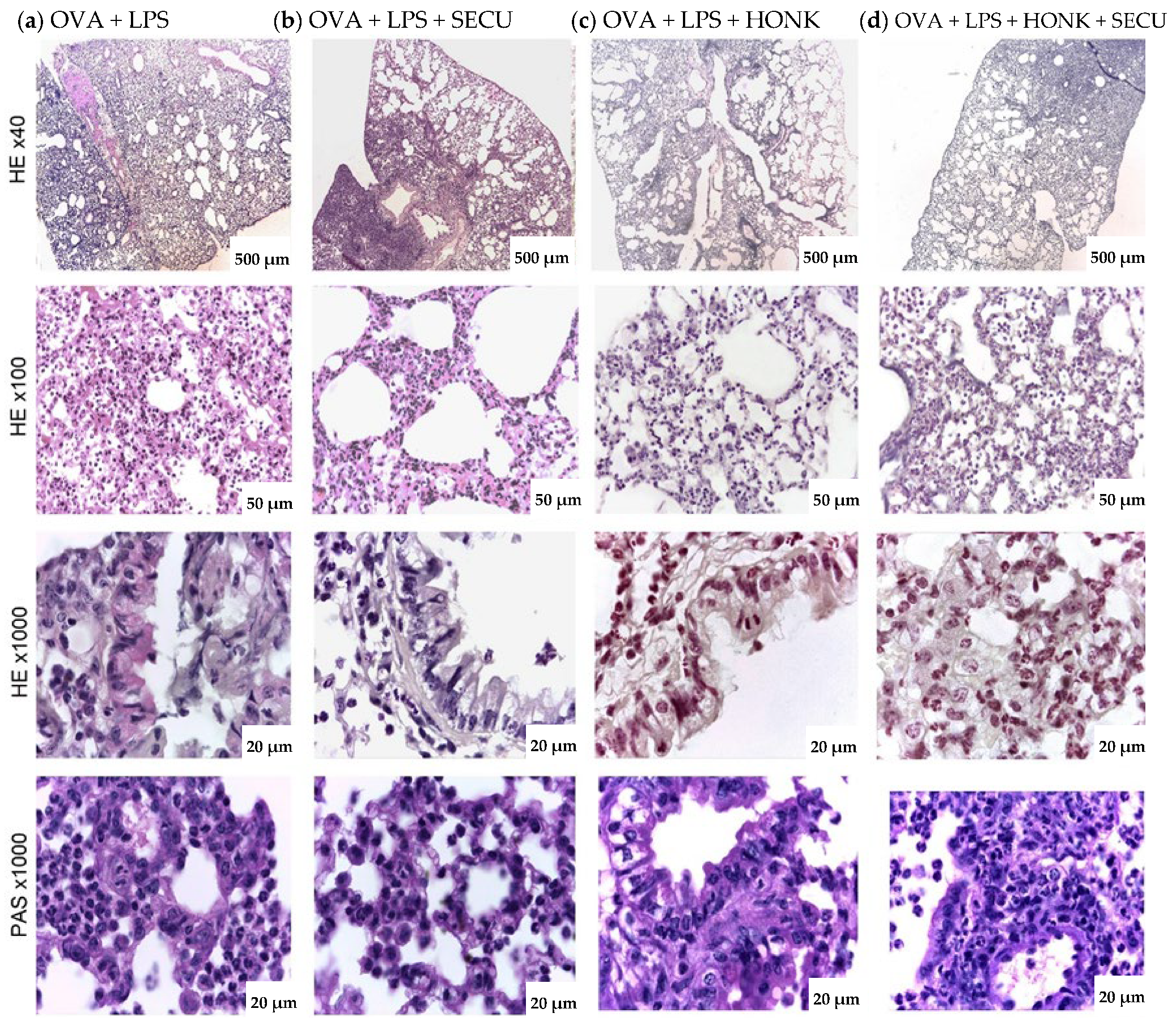 Pharmaceuticals 18 01108 g008
