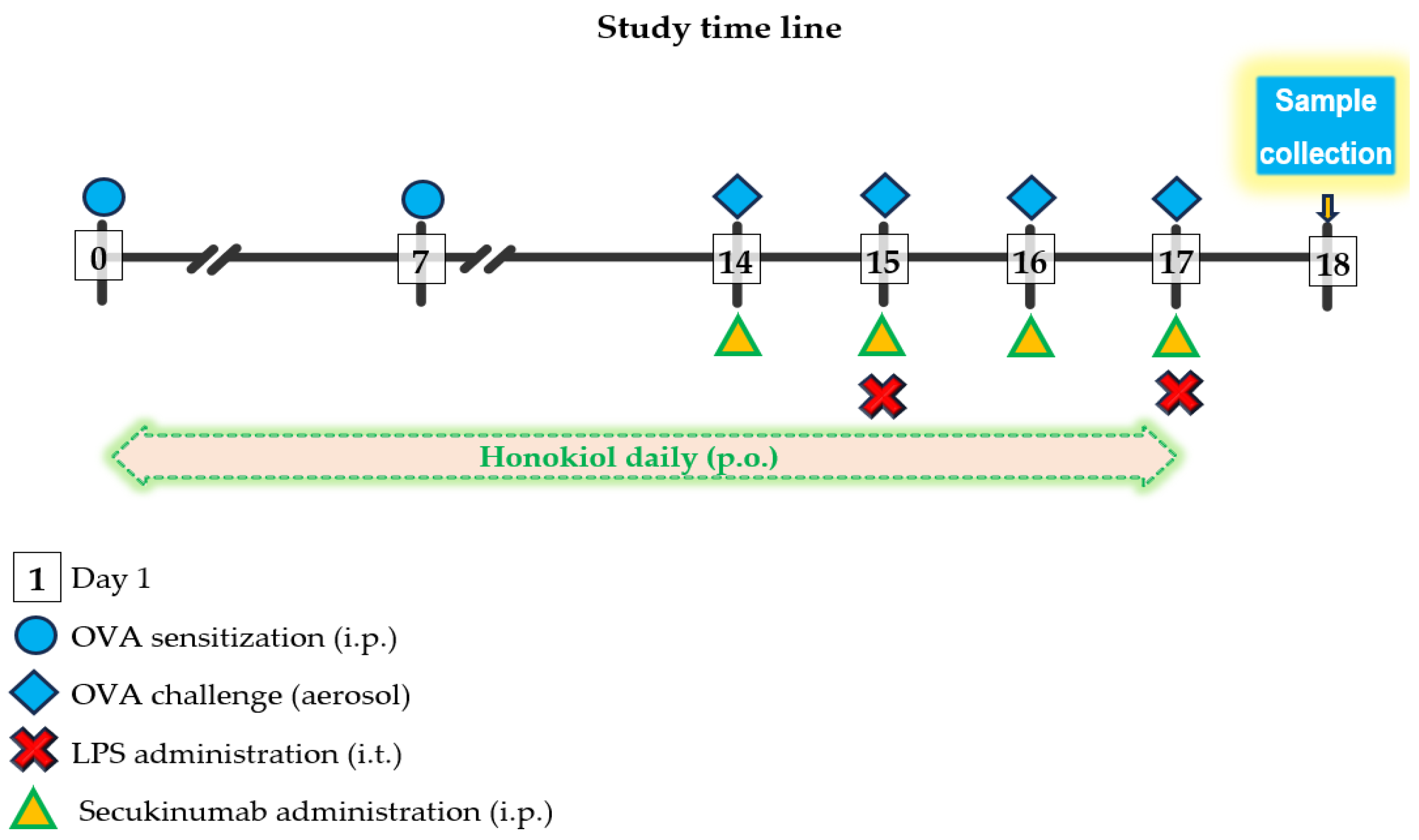 Pharmaceuticals 18 01108 g009