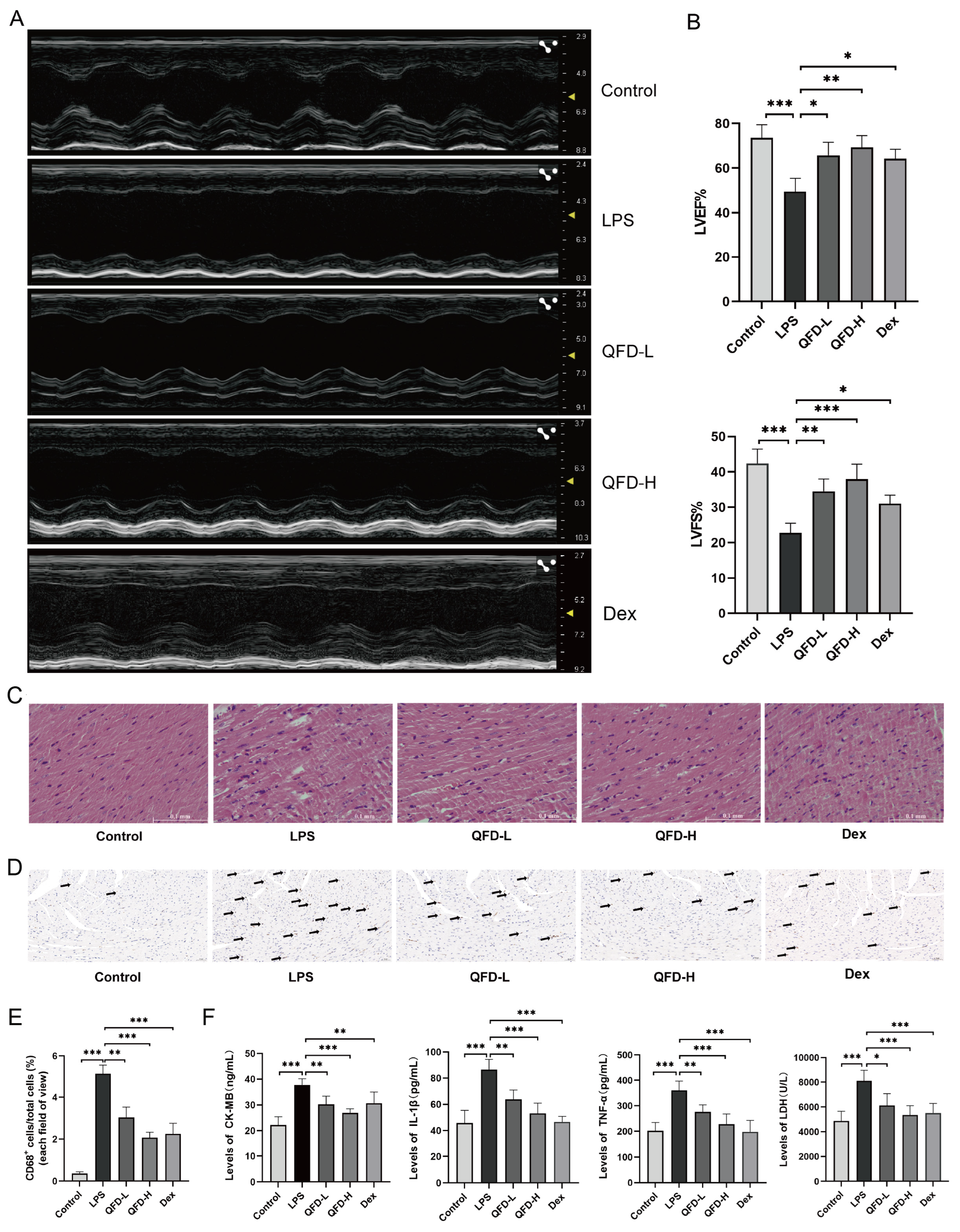 Pharmaceuticals 18 01109 g001