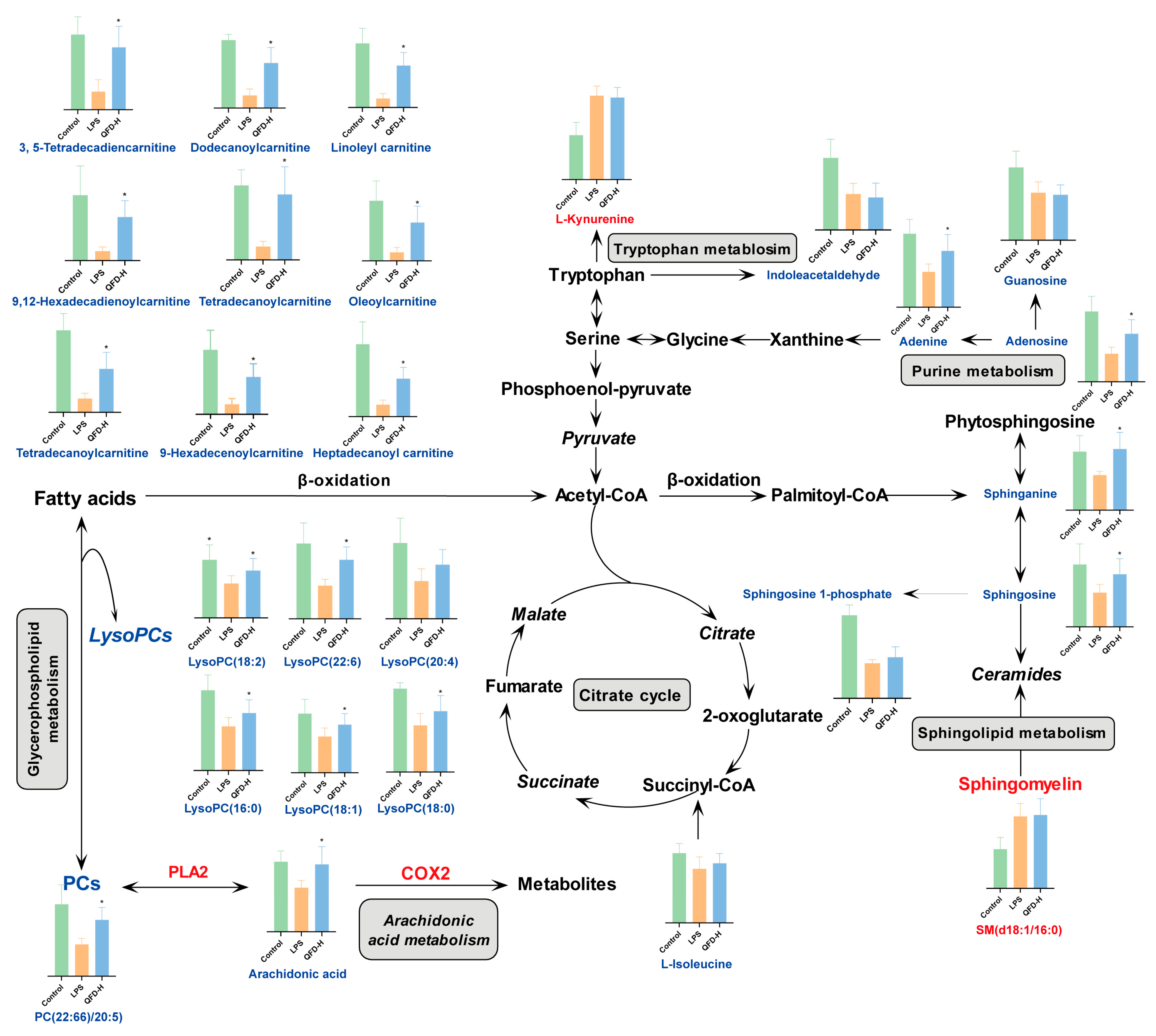 Pharmaceuticals 18 01109 g004