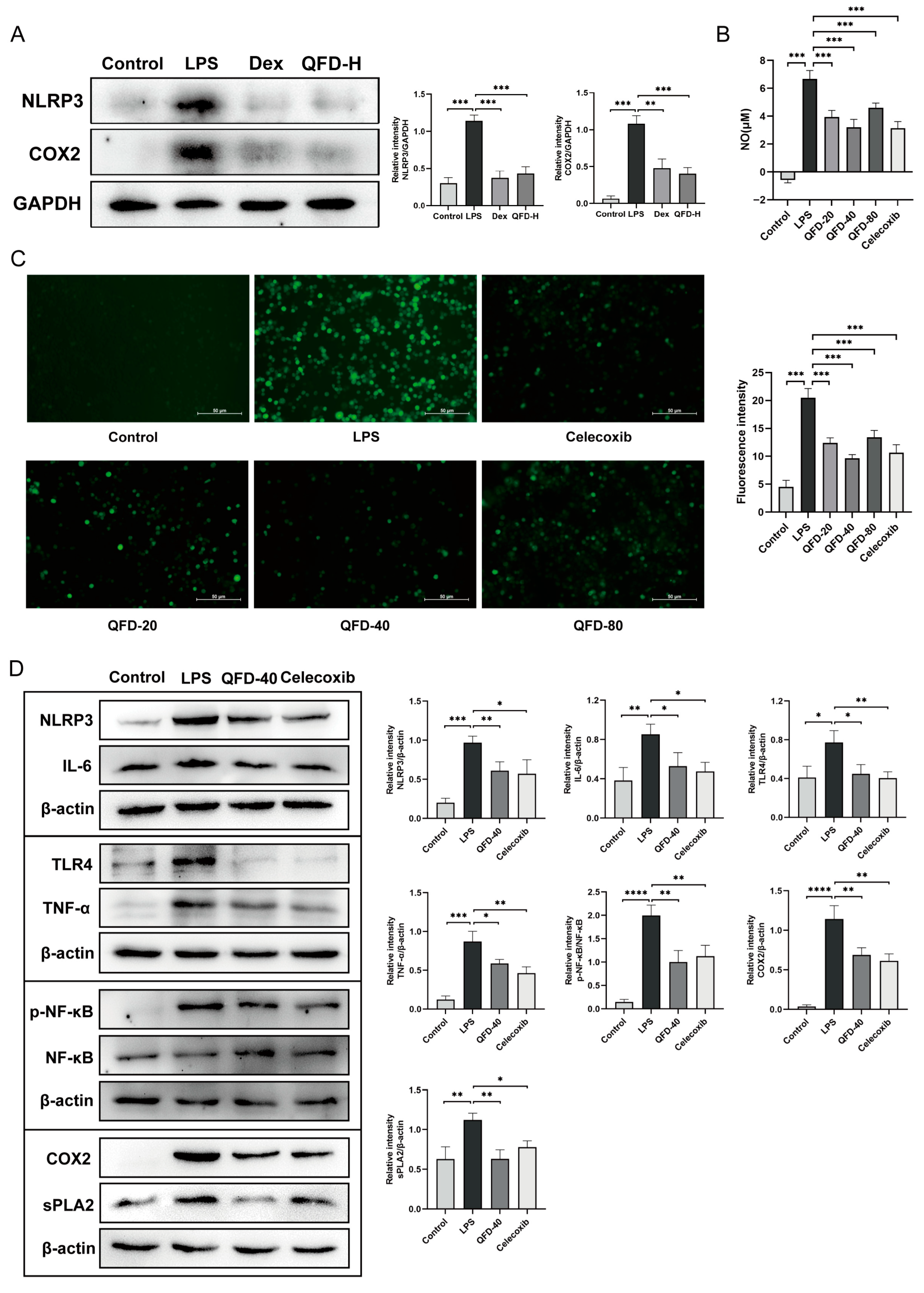 Pharmaceuticals 18 01109 g006