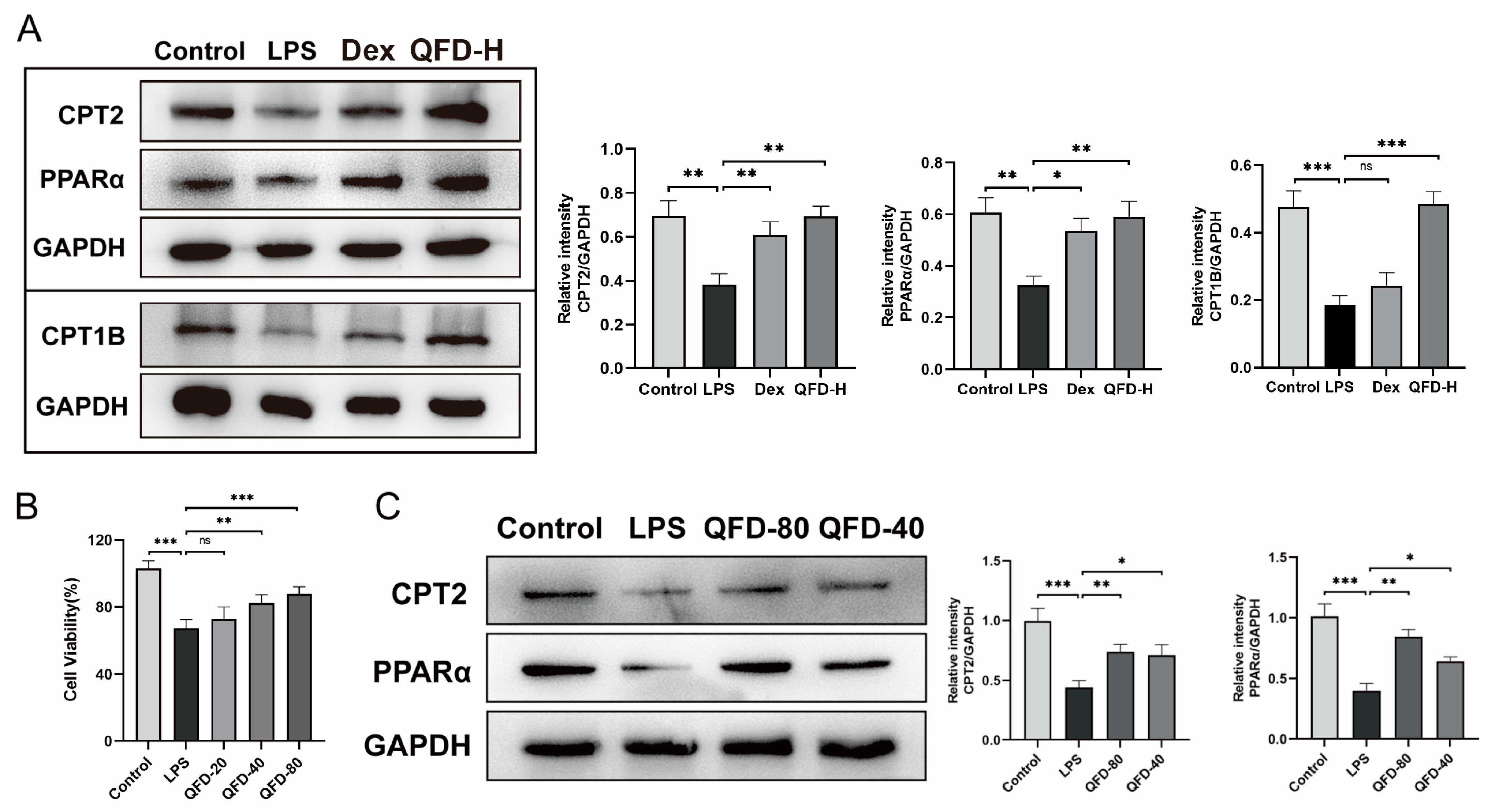 Pharmaceuticals 18 01109 g007