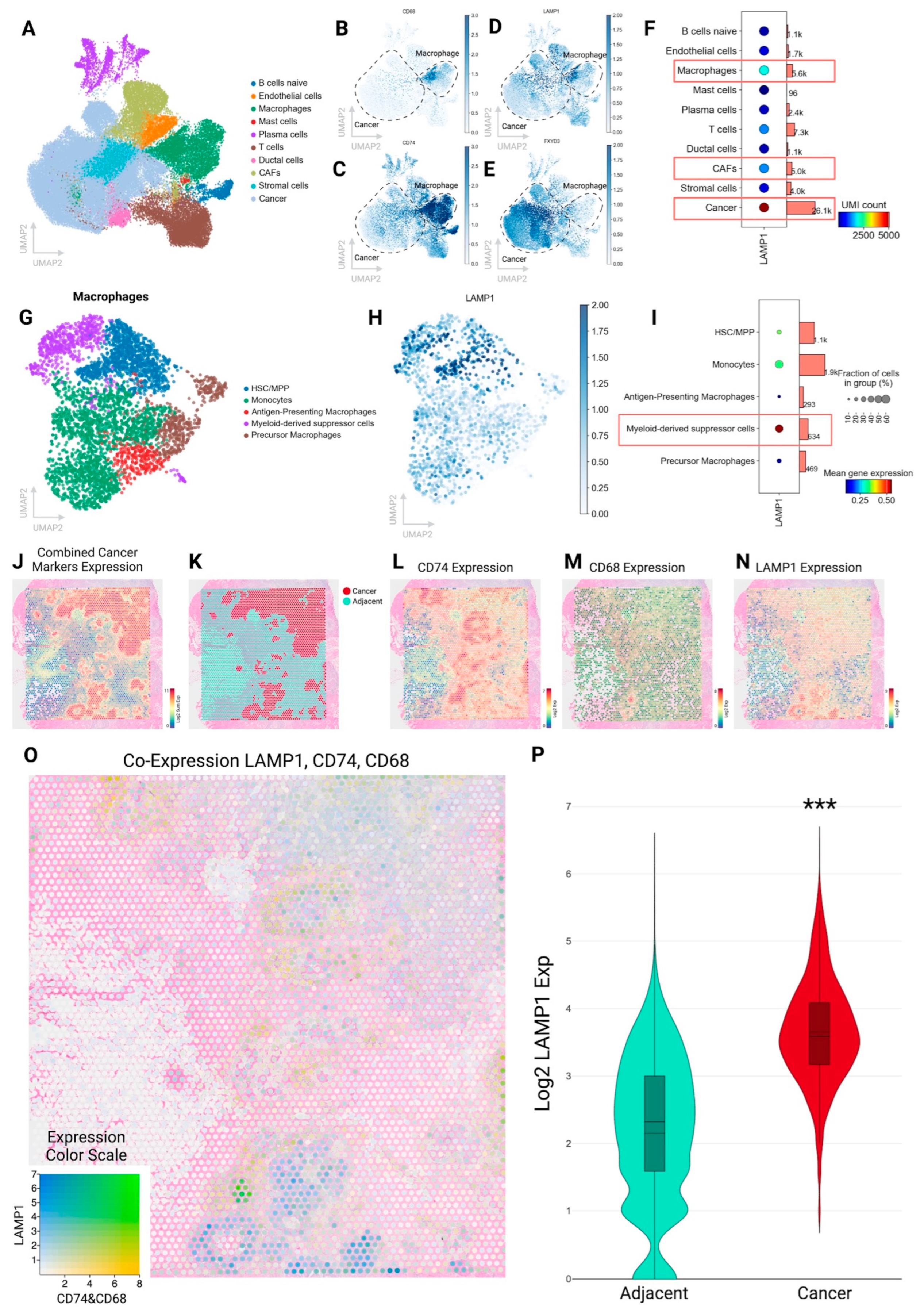 Pharmaceuticals 18 01122 g001