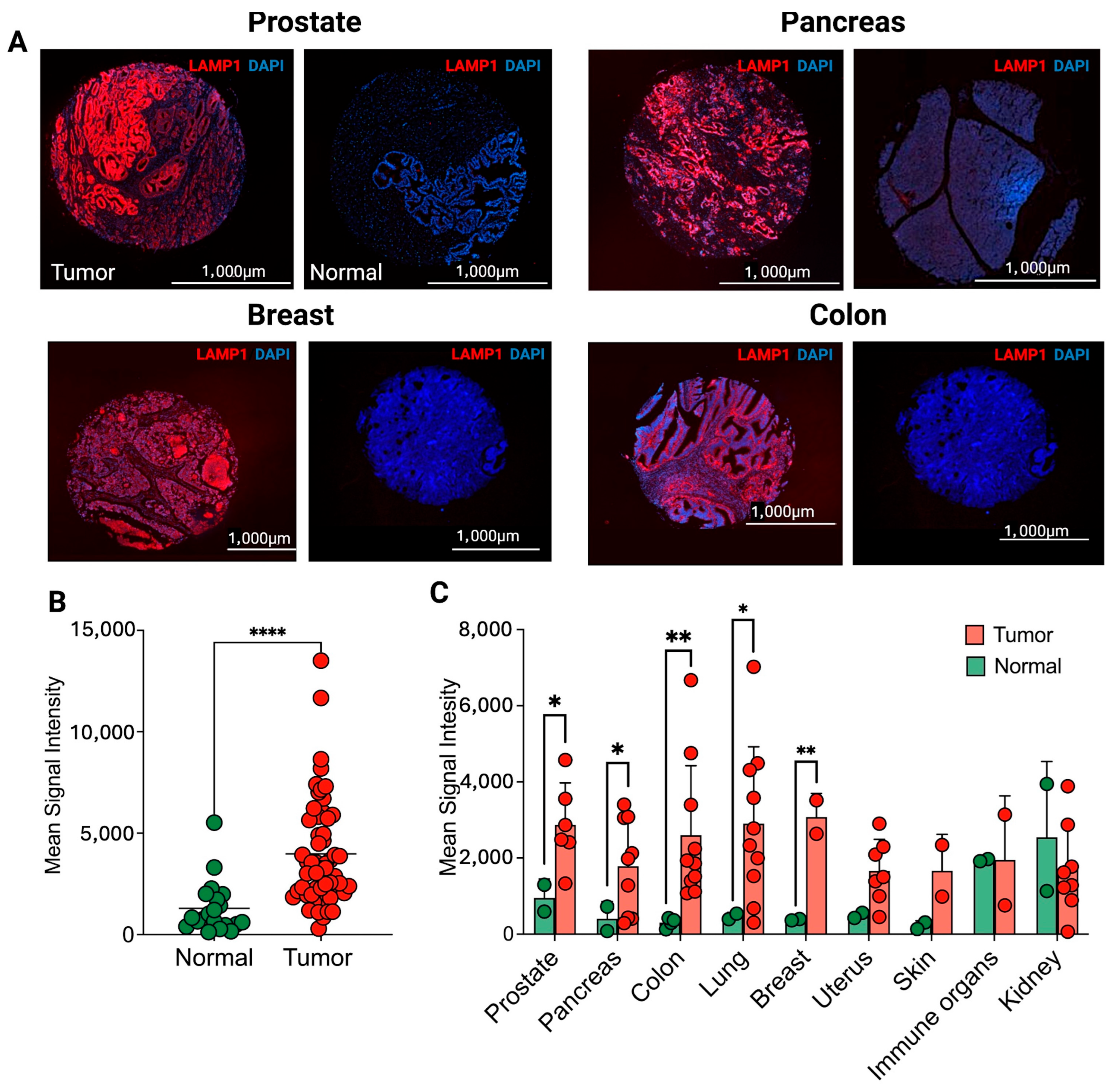 Pharmaceuticals 18 01122 g002