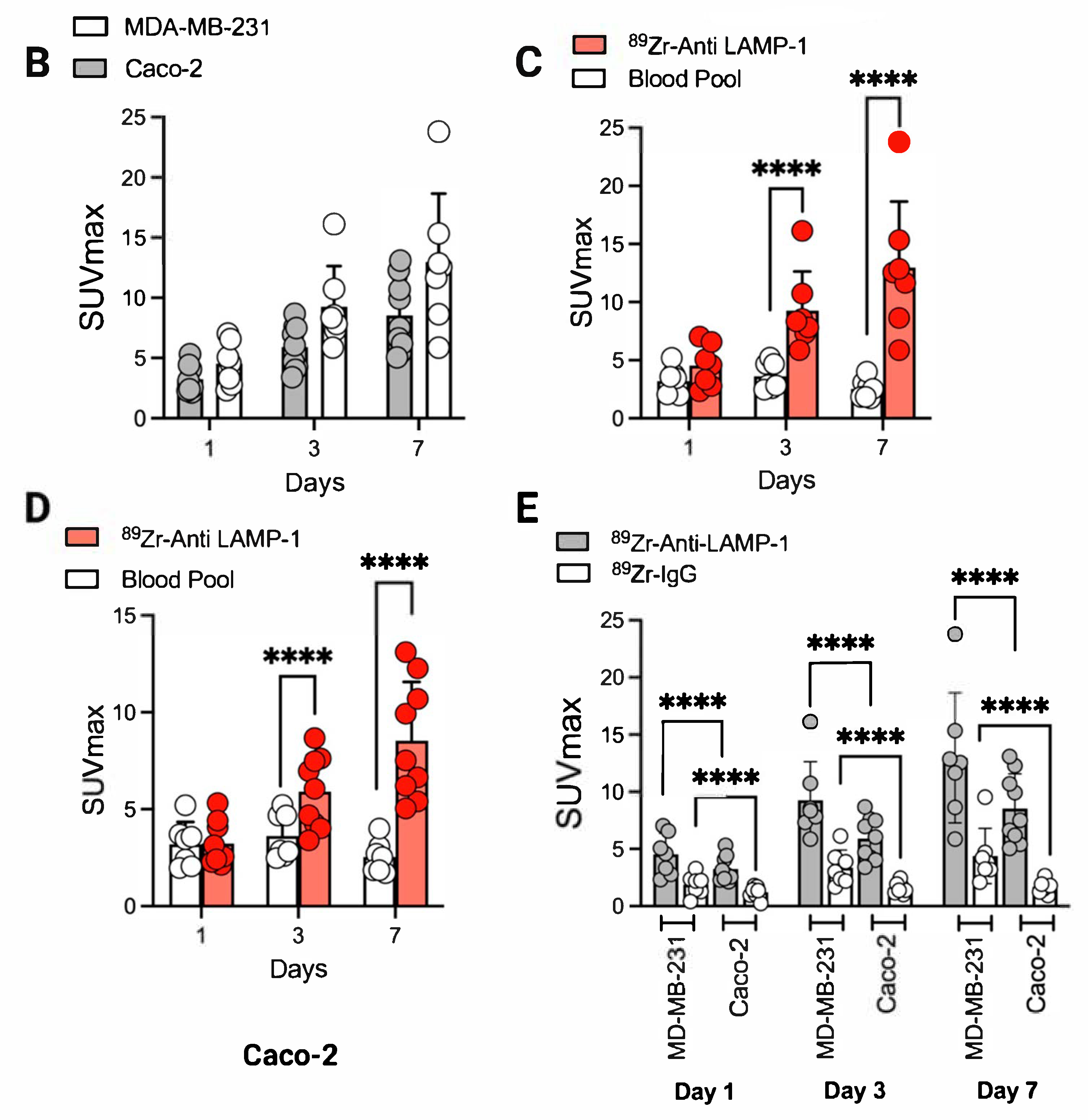 Pharmaceuticals 18 01122 g004b
