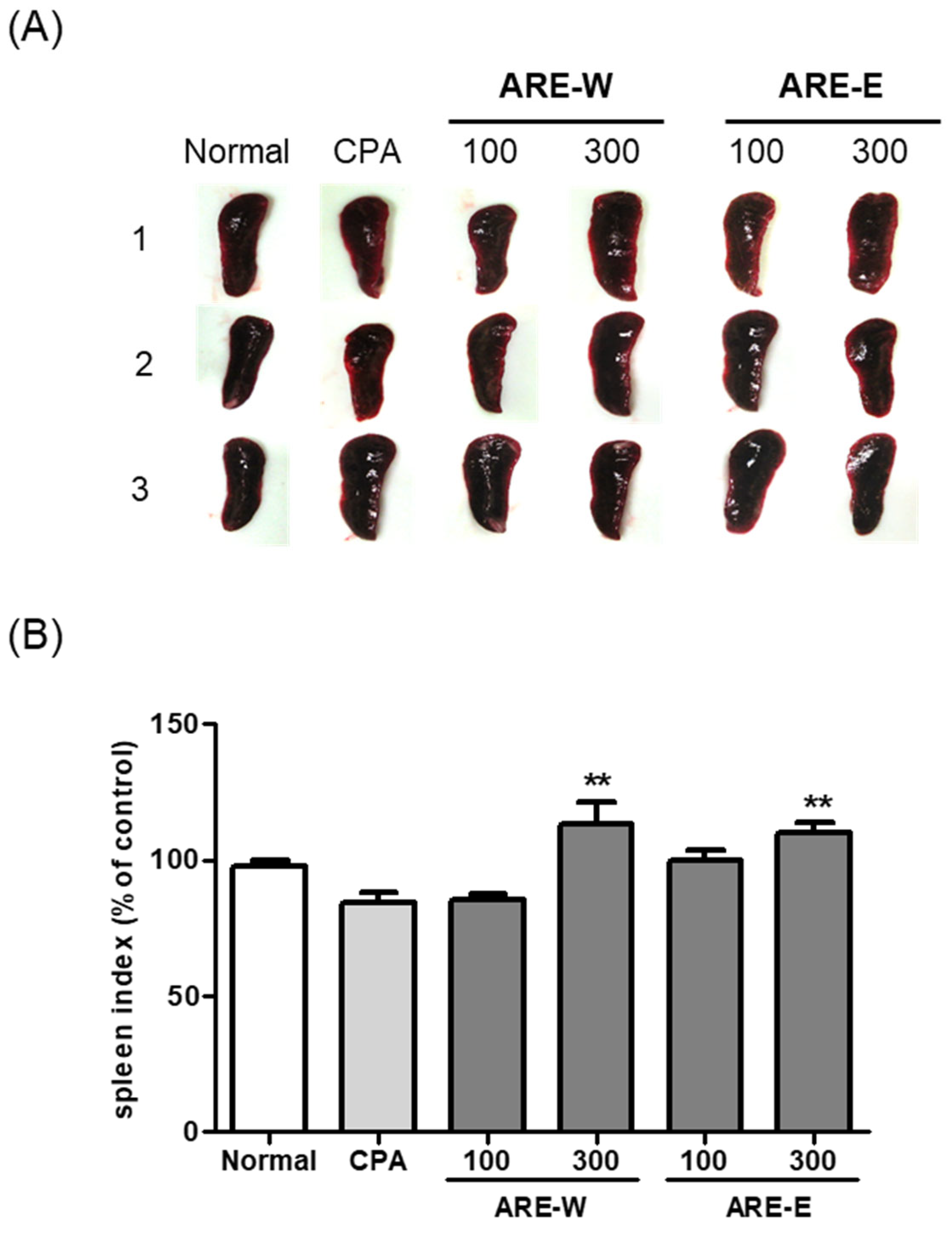 Pharmaceuticals 18 01129 g002