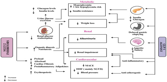 glp-1 and parkinson's disease Beyond insulin: The Intriguing role of GLP-1 in Parkinson's disease glp-1 and parkinson's disease Beyond insulin: The Intriguing role of GLP-1 in Parkinson's disease