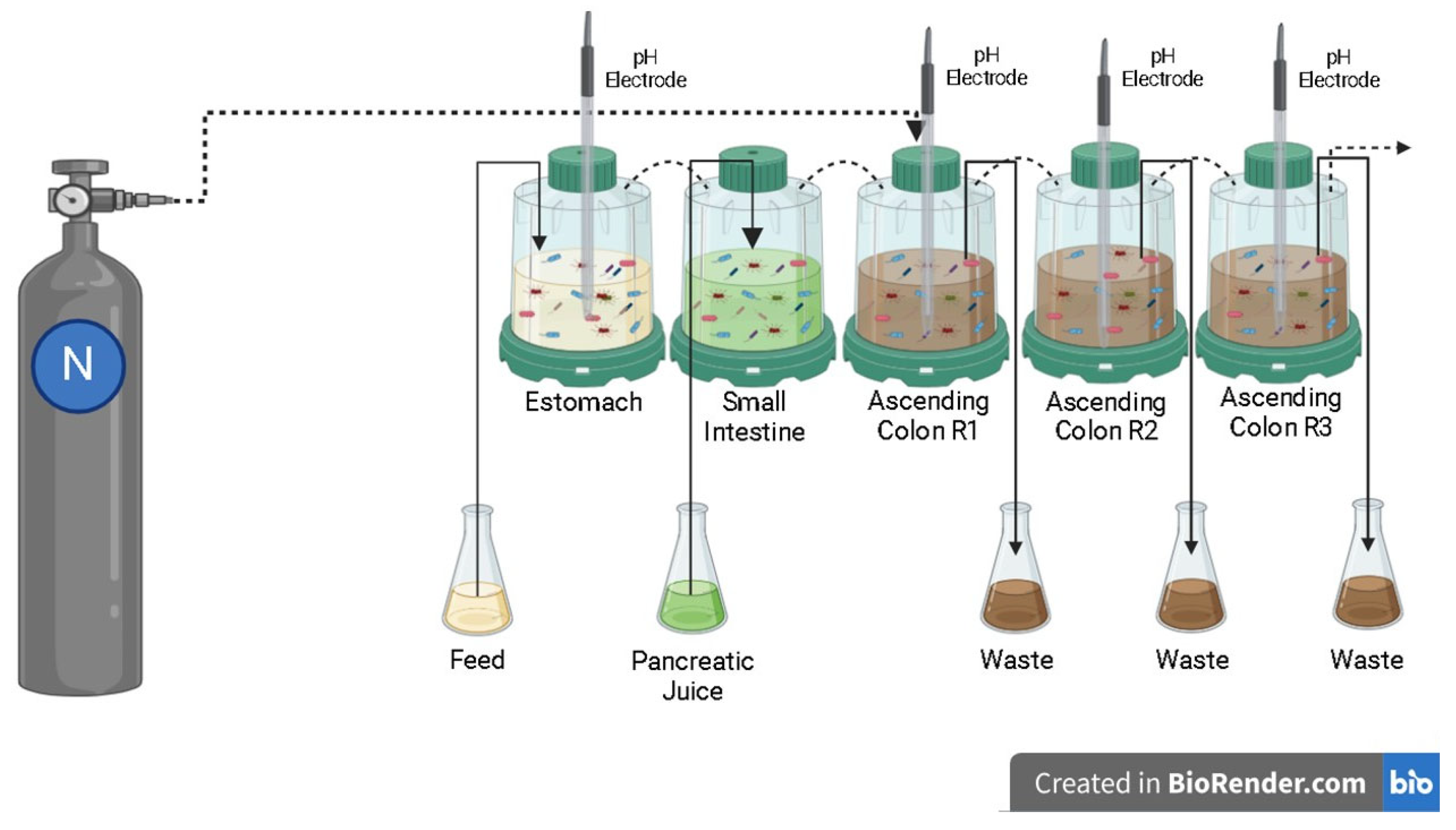 Pharmaceuticals 18 01132 g011