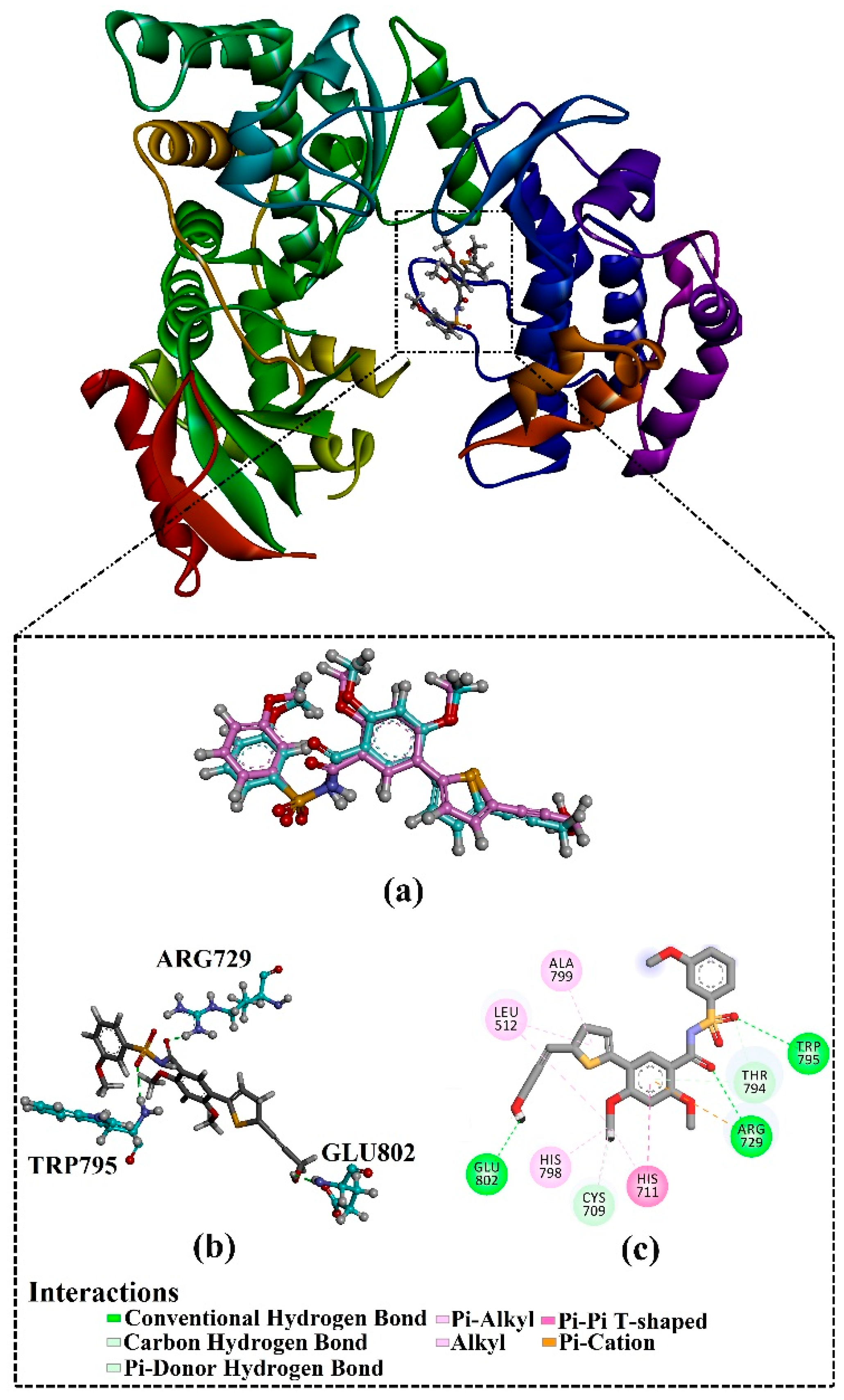 Pharmaceuticals 18 01135 g002 Pharmaceuticals 18 01135 g002
