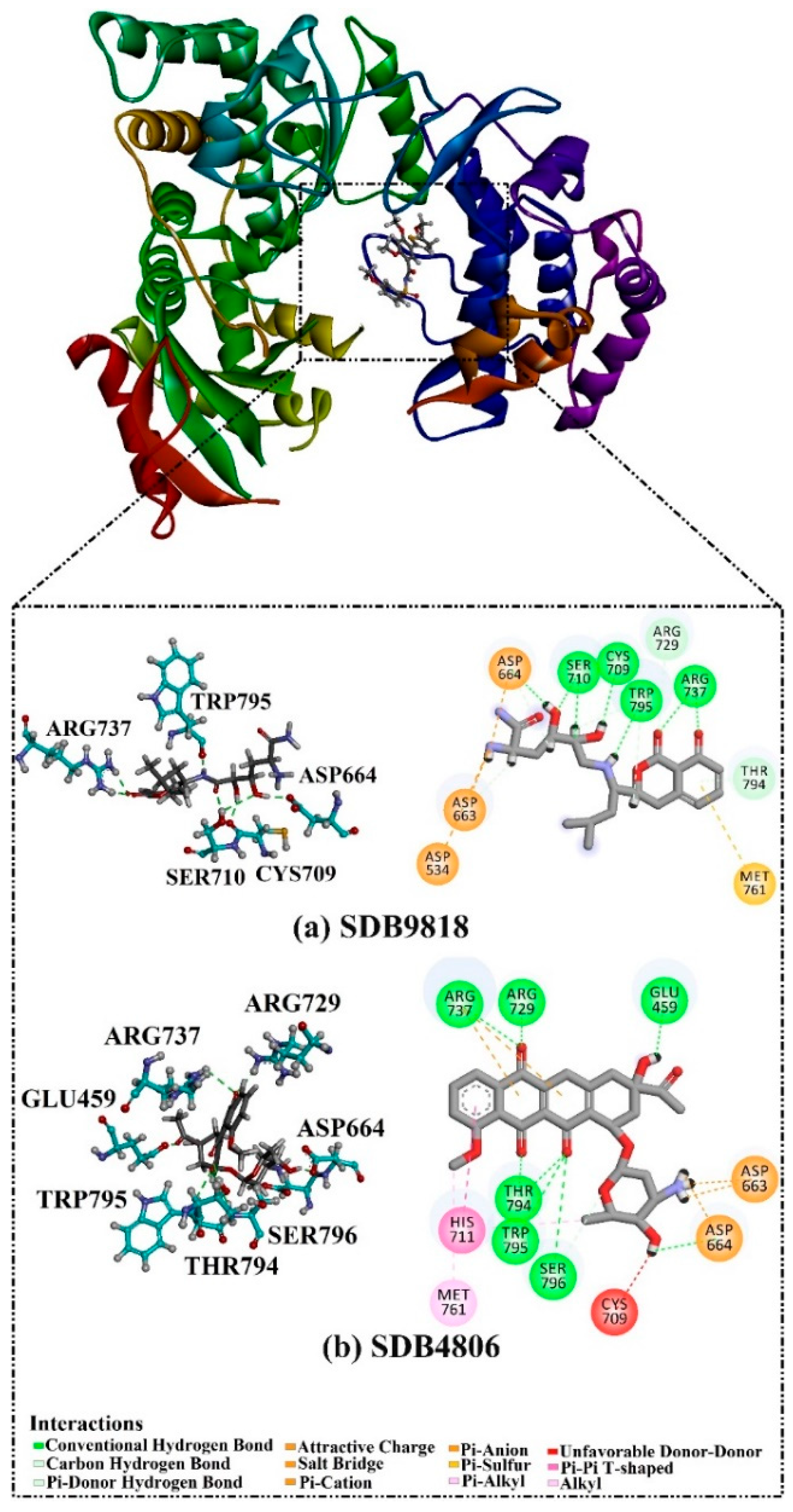 Pharmaceuticals 18 01135 g003 Pharmaceuticals 18 01135 g003