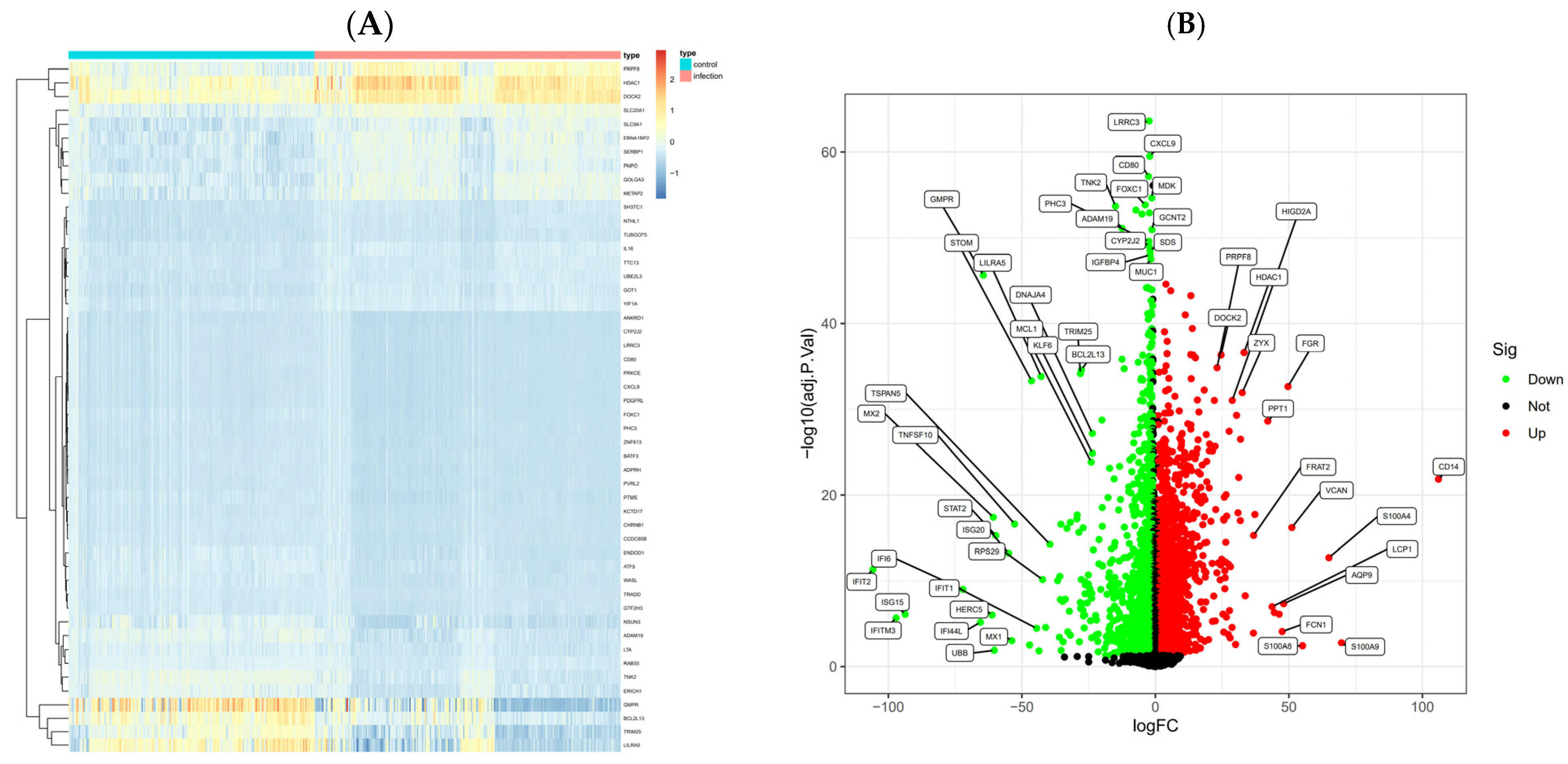 Pharmaceuticals 18 01136 g002