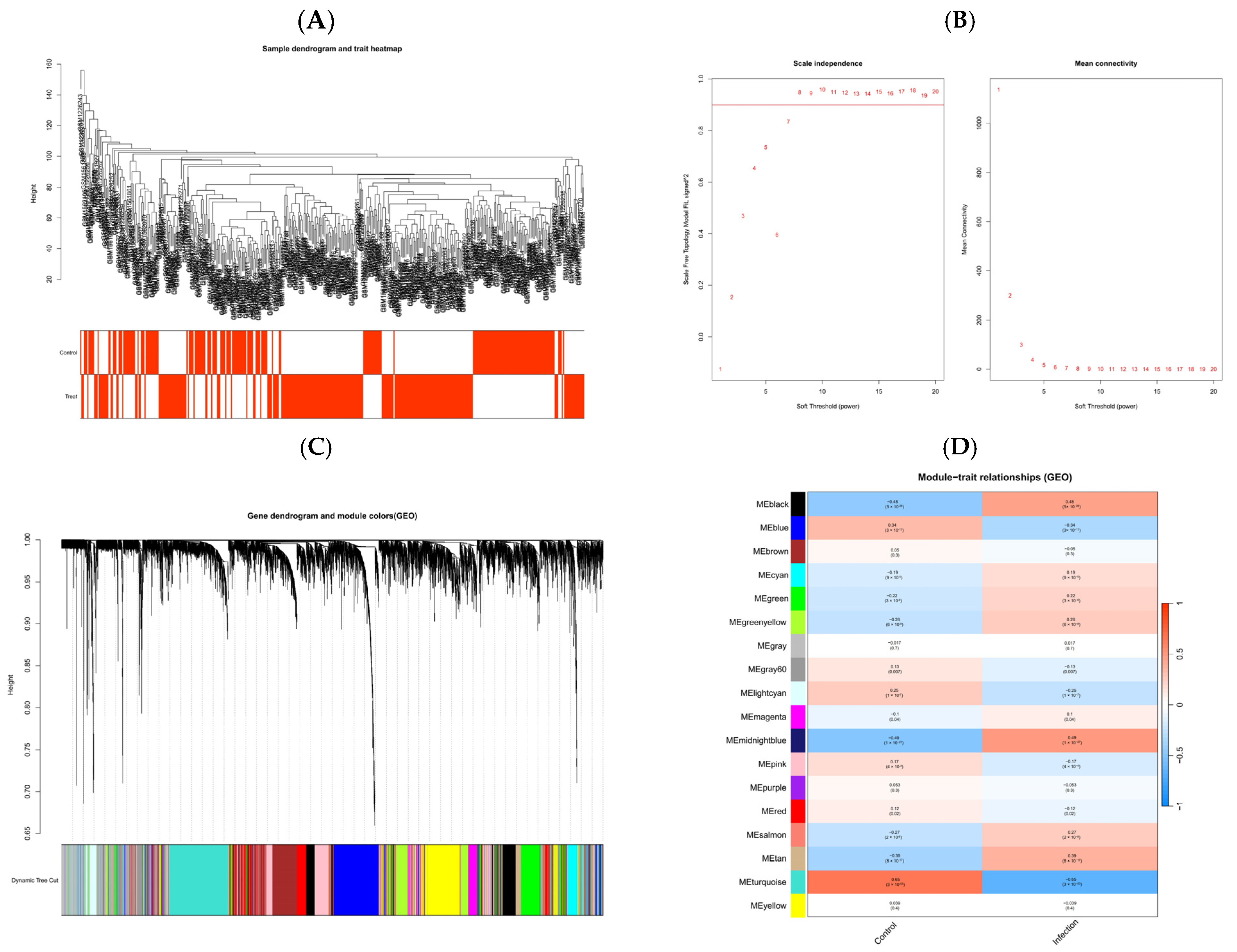 Pharmaceuticals 18 01136 g003