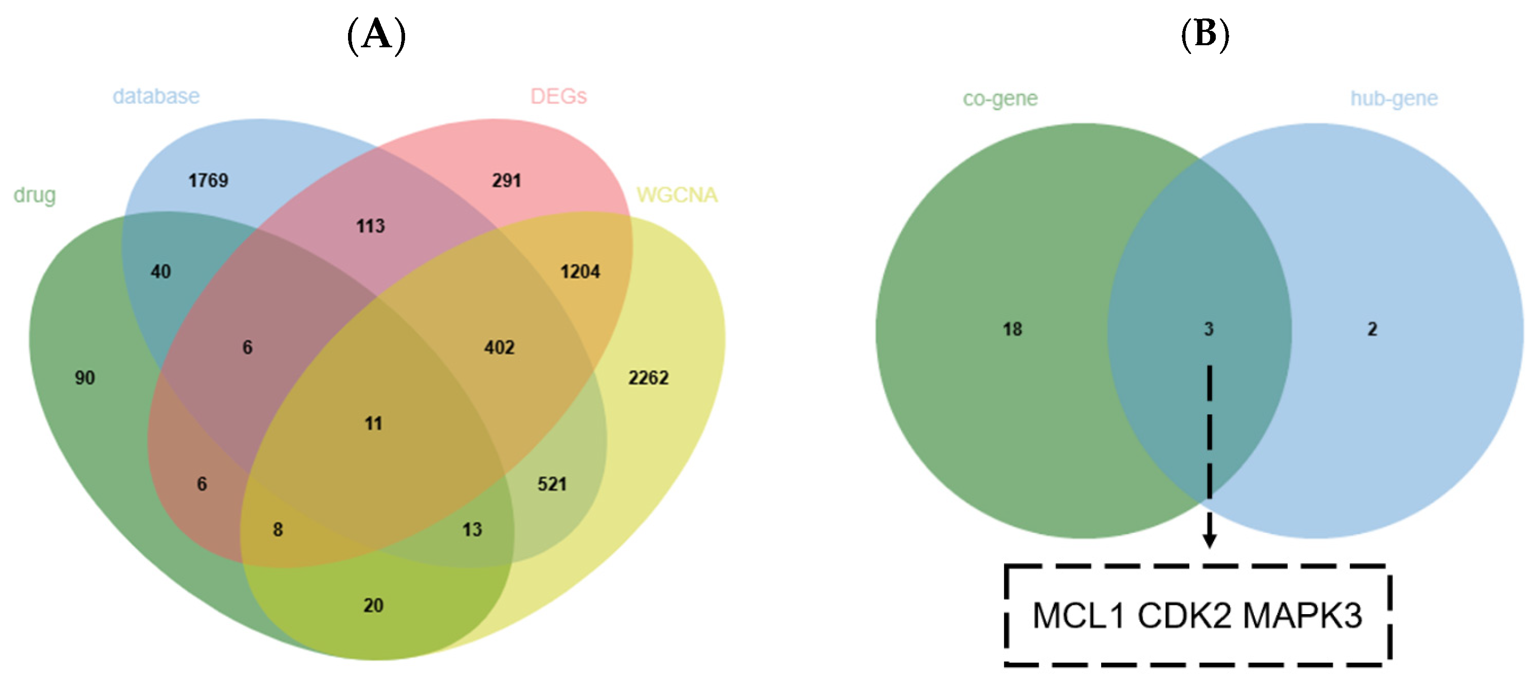 Pharmaceuticals 18 01136 g004