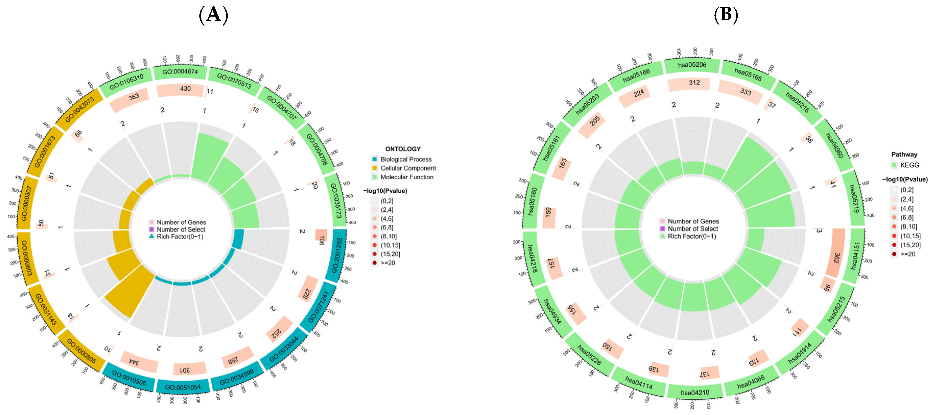 Pharmaceuticals 18 01136 g005