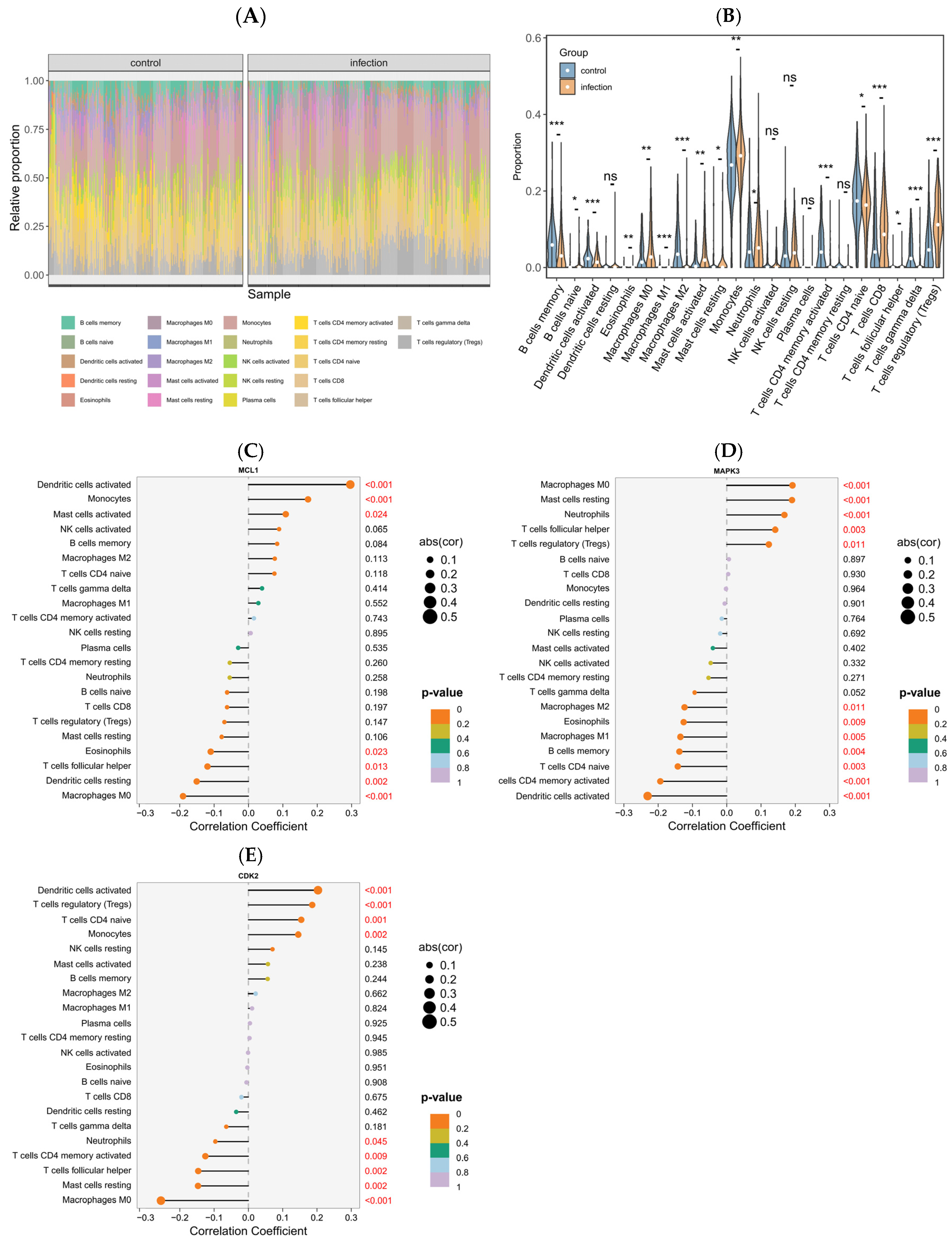 Pharmaceuticals 18 01136 g007