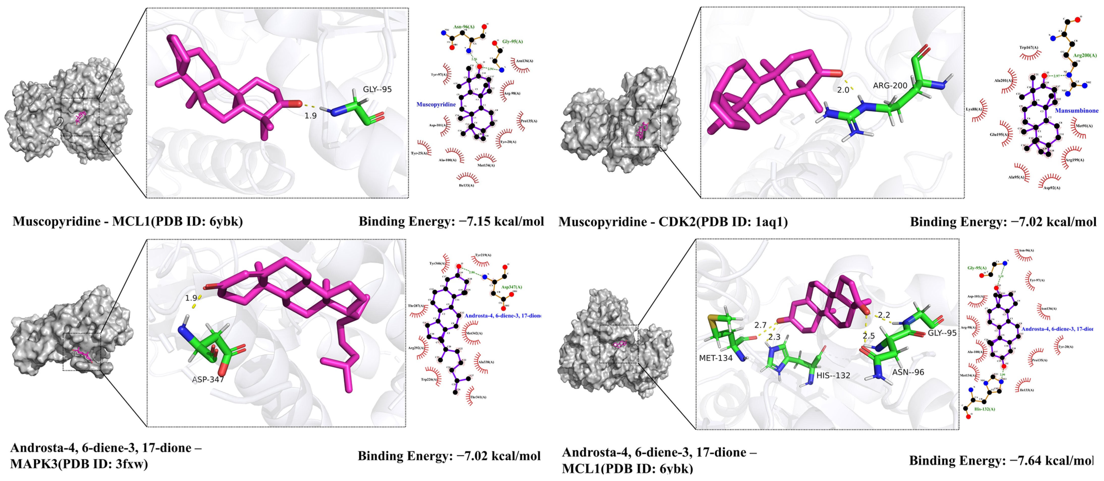 Pharmaceuticals 18 01136 g009b