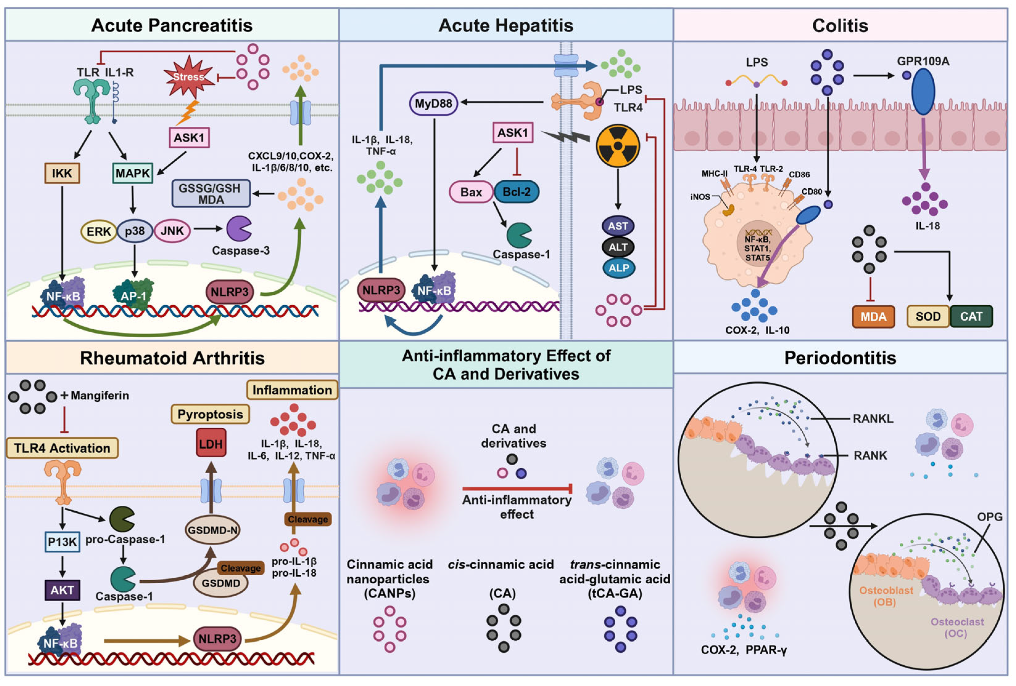 Pharmaceuticals 18 01141 g003