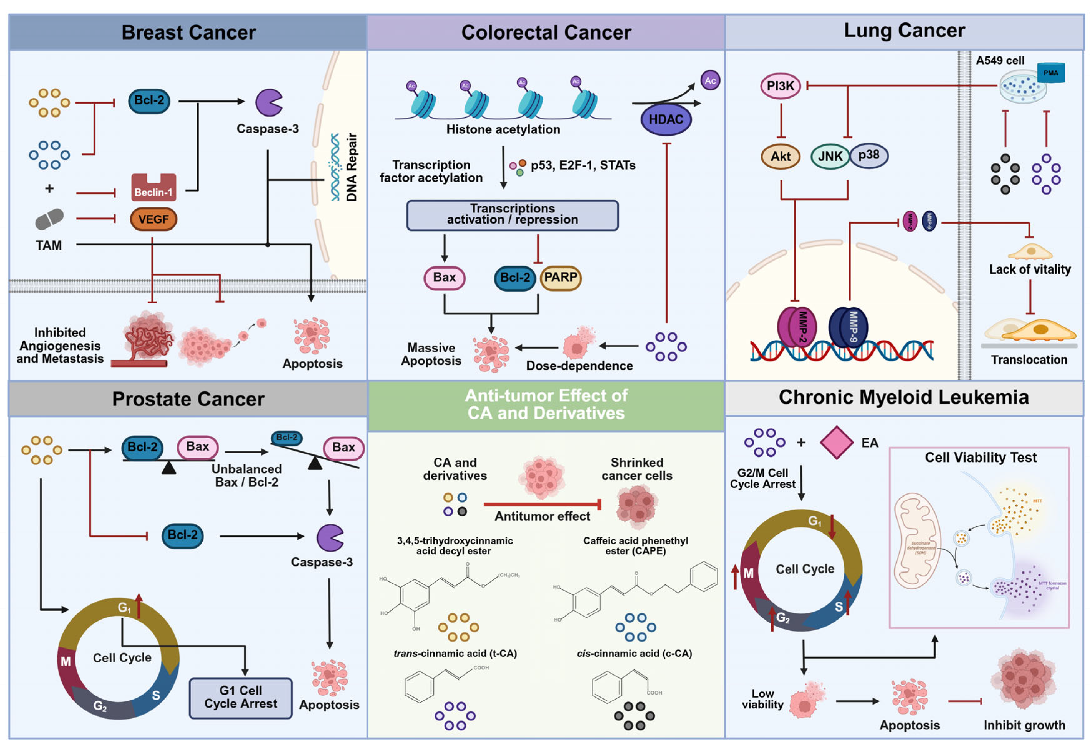 Pharmaceuticals 18 01141 g004