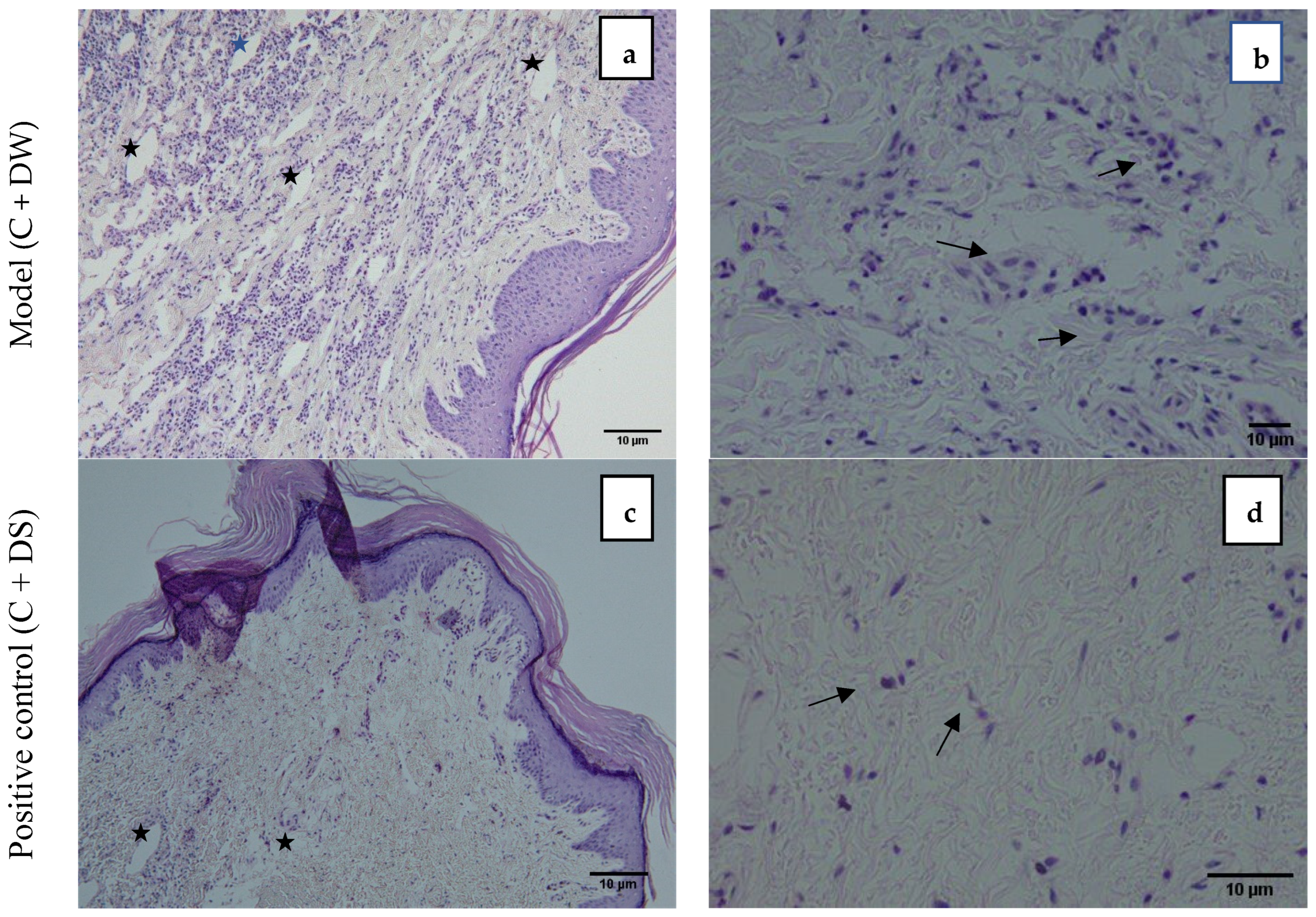 Pharmaceuticals 18 01142 g004a