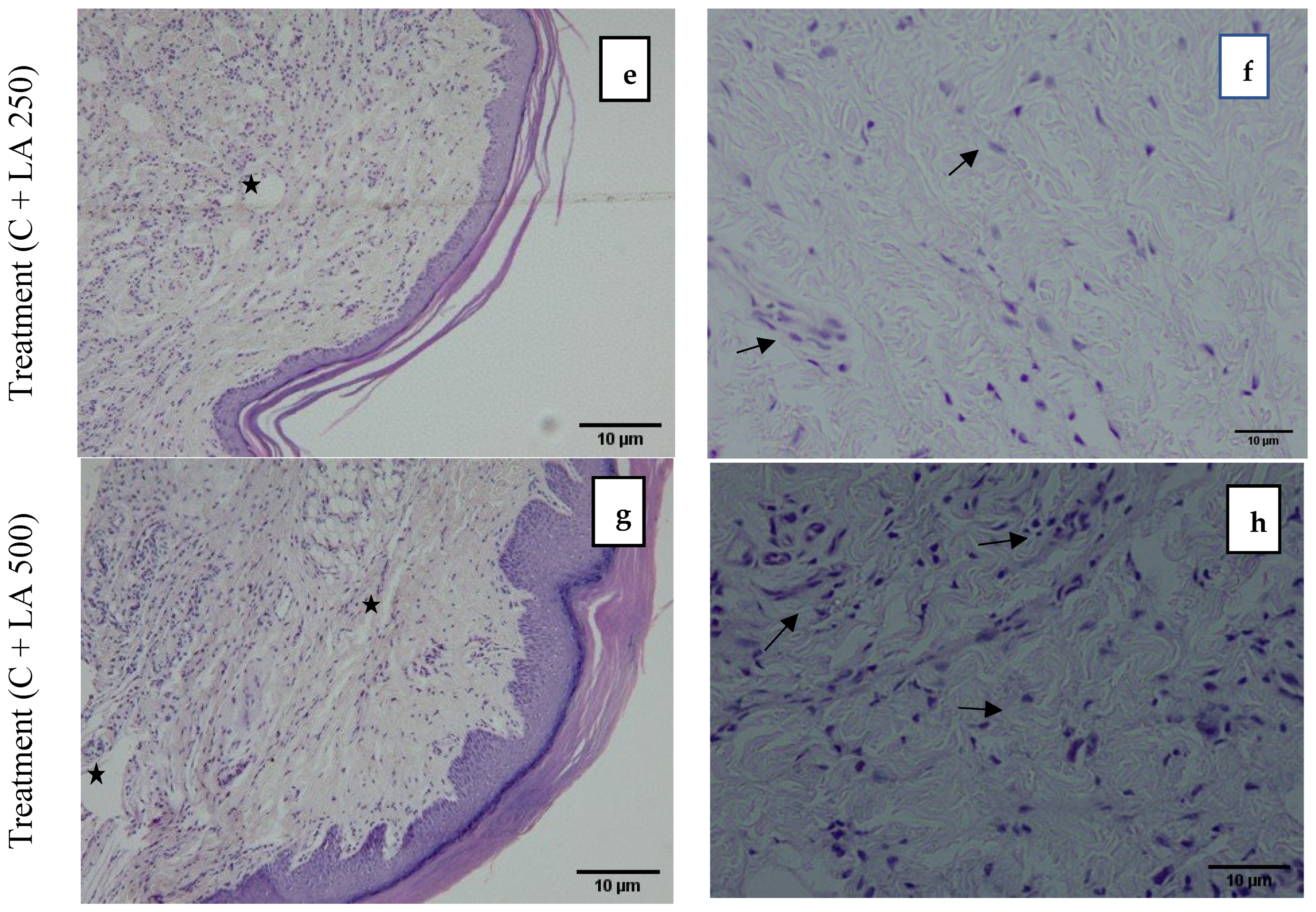 Pharmaceuticals 18 01142 g004b