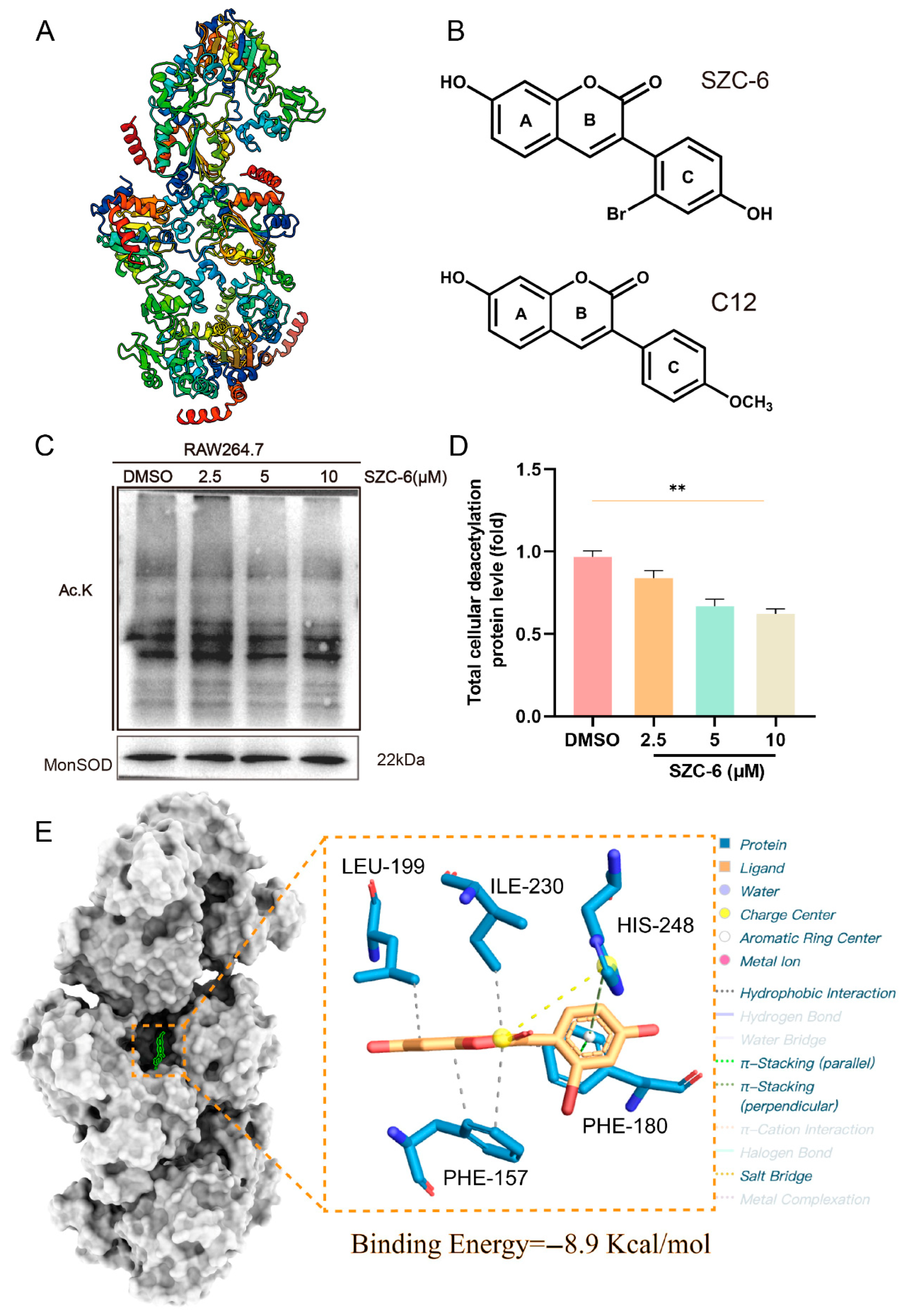 Pharmaceuticals 18 01143 g001