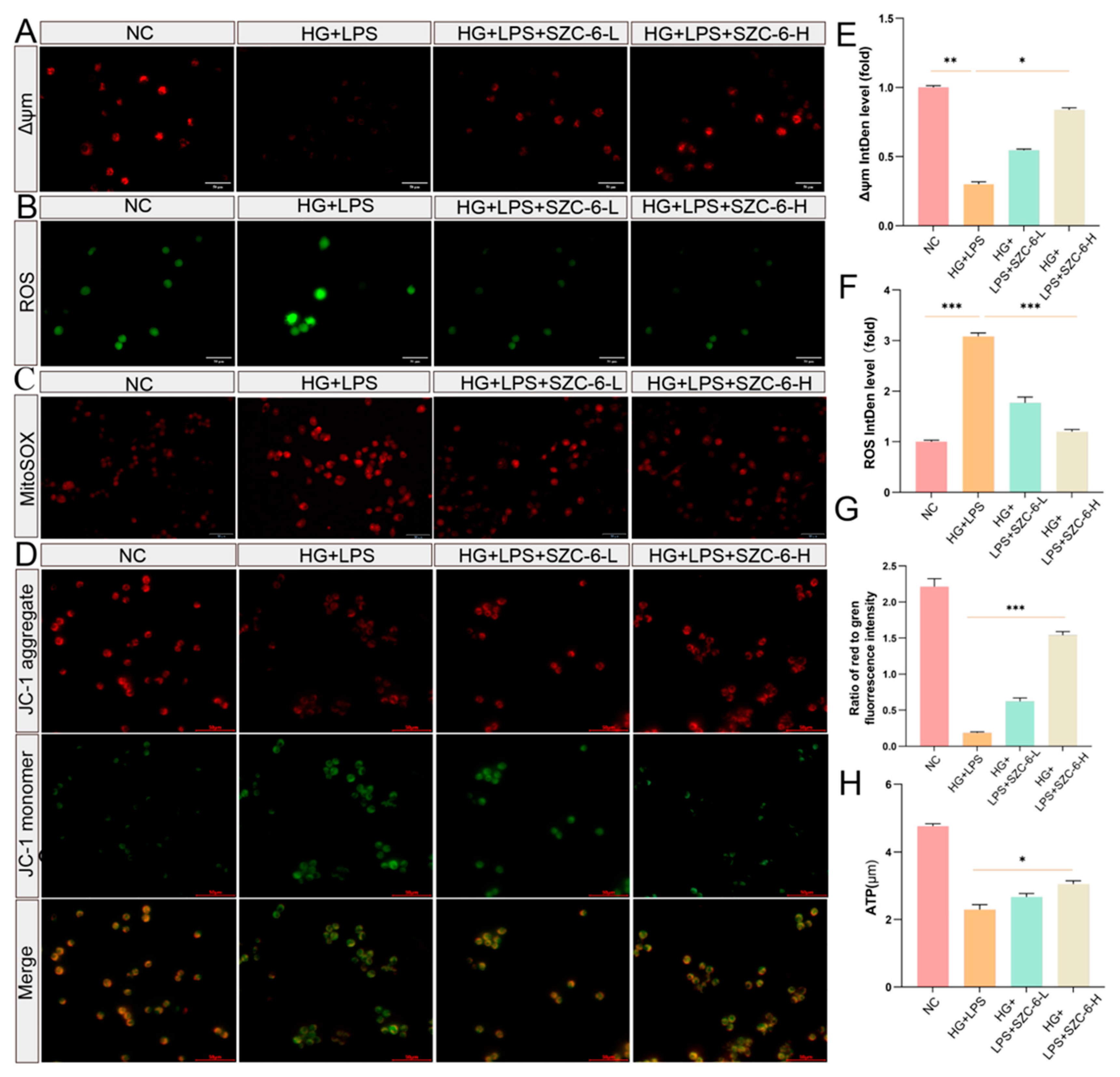 Pharmaceuticals 18 01143 g002